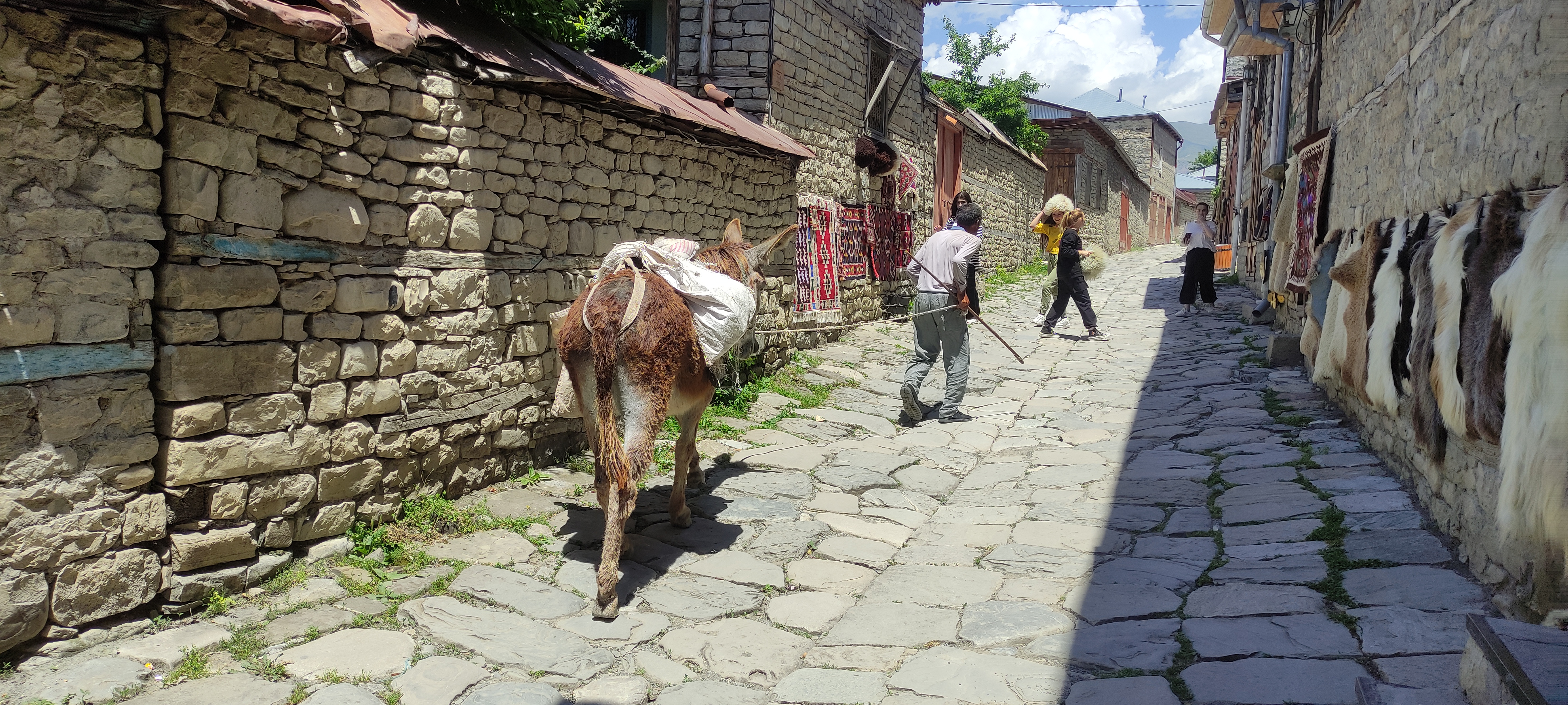 Азербайджан за 2 дня: от Лагича до горы Туфандаг, винные дегустации, альпаки канатка (4/41)