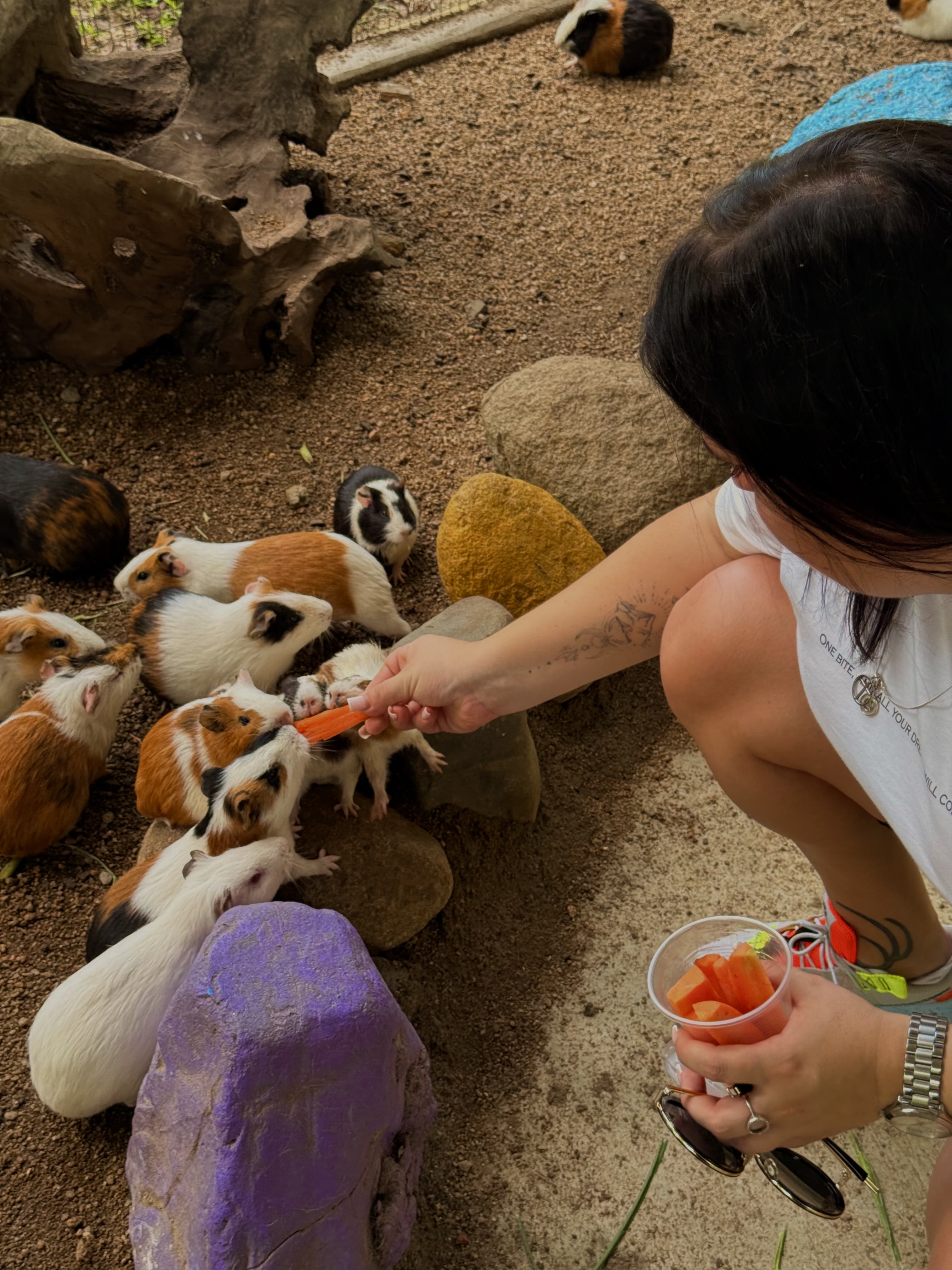 Новый год 2027 во Вьетнаме: приключение для тех, кто ищет настоящие эмоции (20/40)