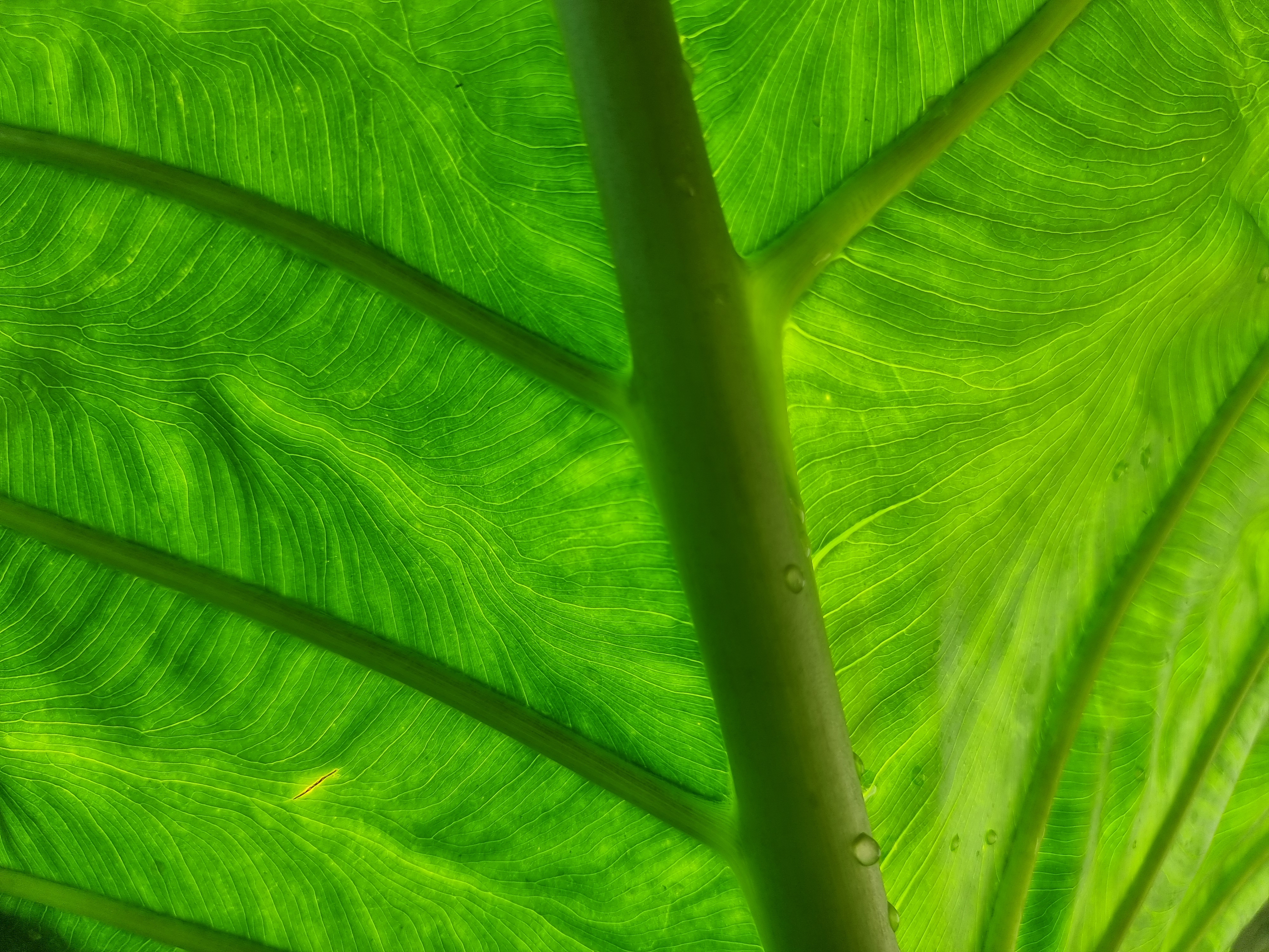 Активация Чувствования себя - Ретрит, меняющий Жизнь (9/12)