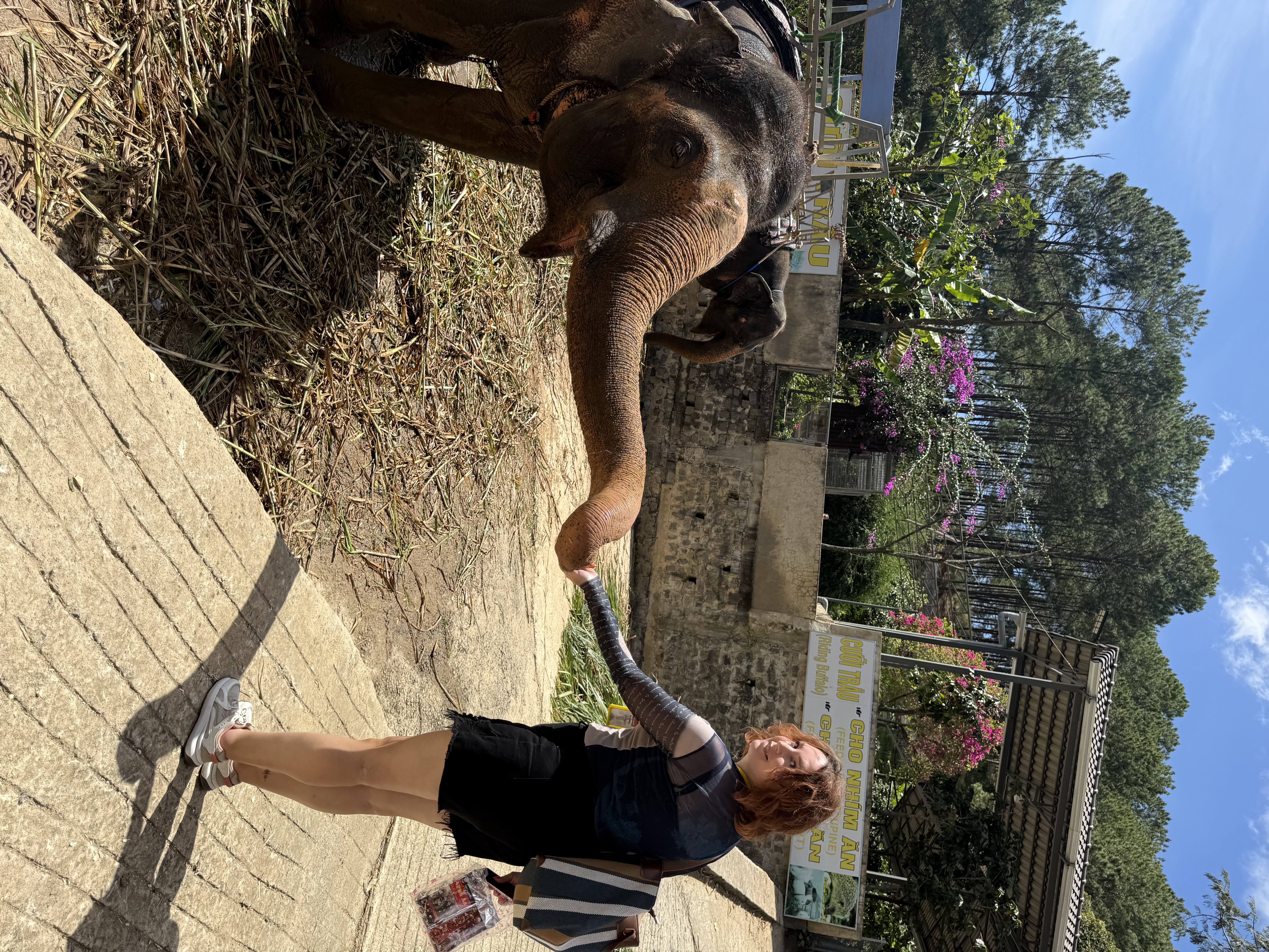 Новый год 2027 во Вьетнаме: приключение для тех, кто ищет настоящие эмоции (39/40)