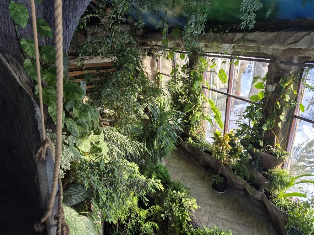 Лебединый заказник и дополнительно рекомендуем обед в стиле Гастроботаники (11/13)