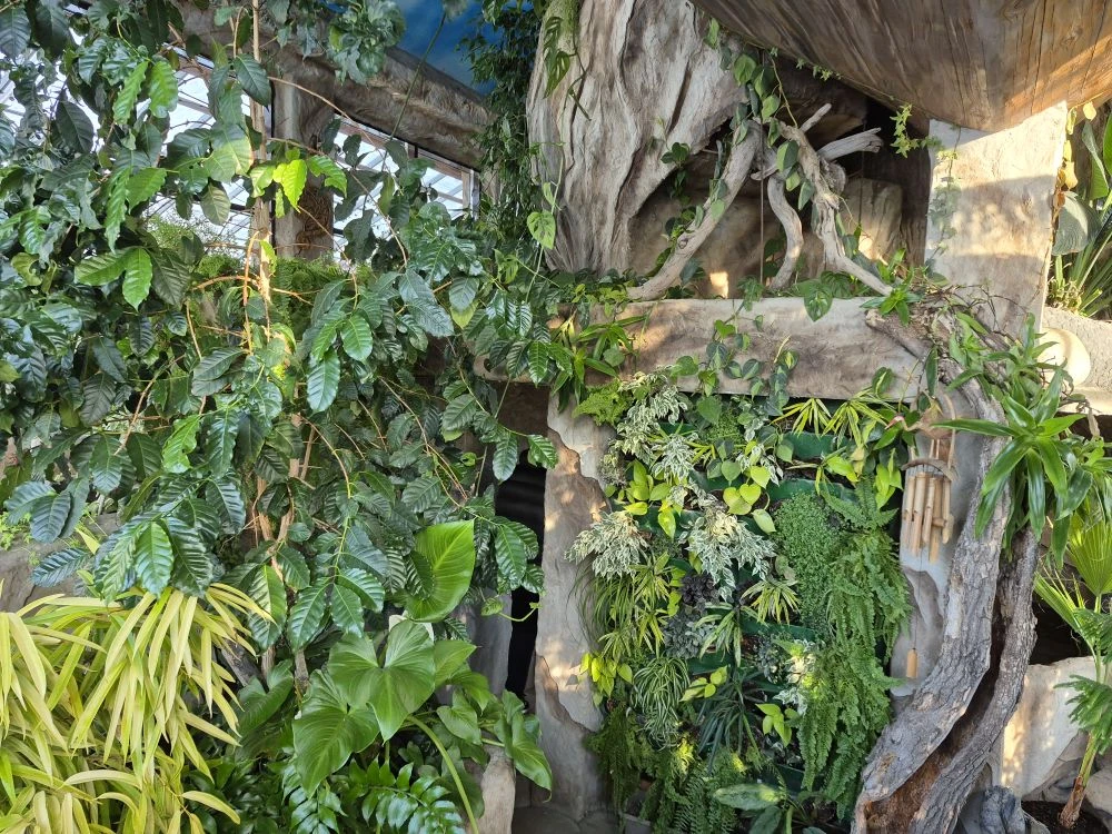 Лебединый заказник и дополнительно рекомендуем обед в стиле Гастроботаники (12/13)