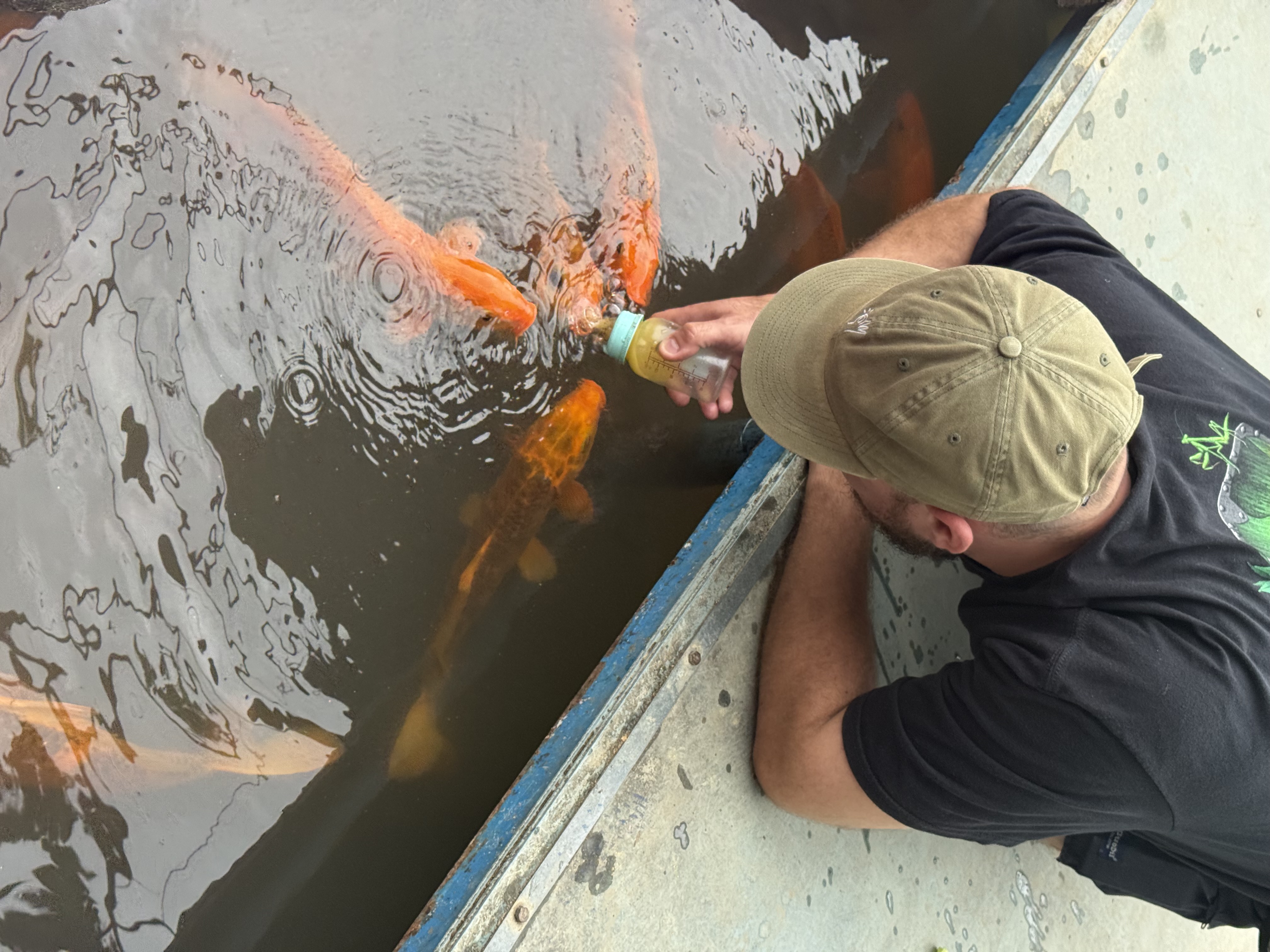 Новый год 2027 во Вьетнаме: приключение для тех, кто ищет настоящие эмоции (37/40)