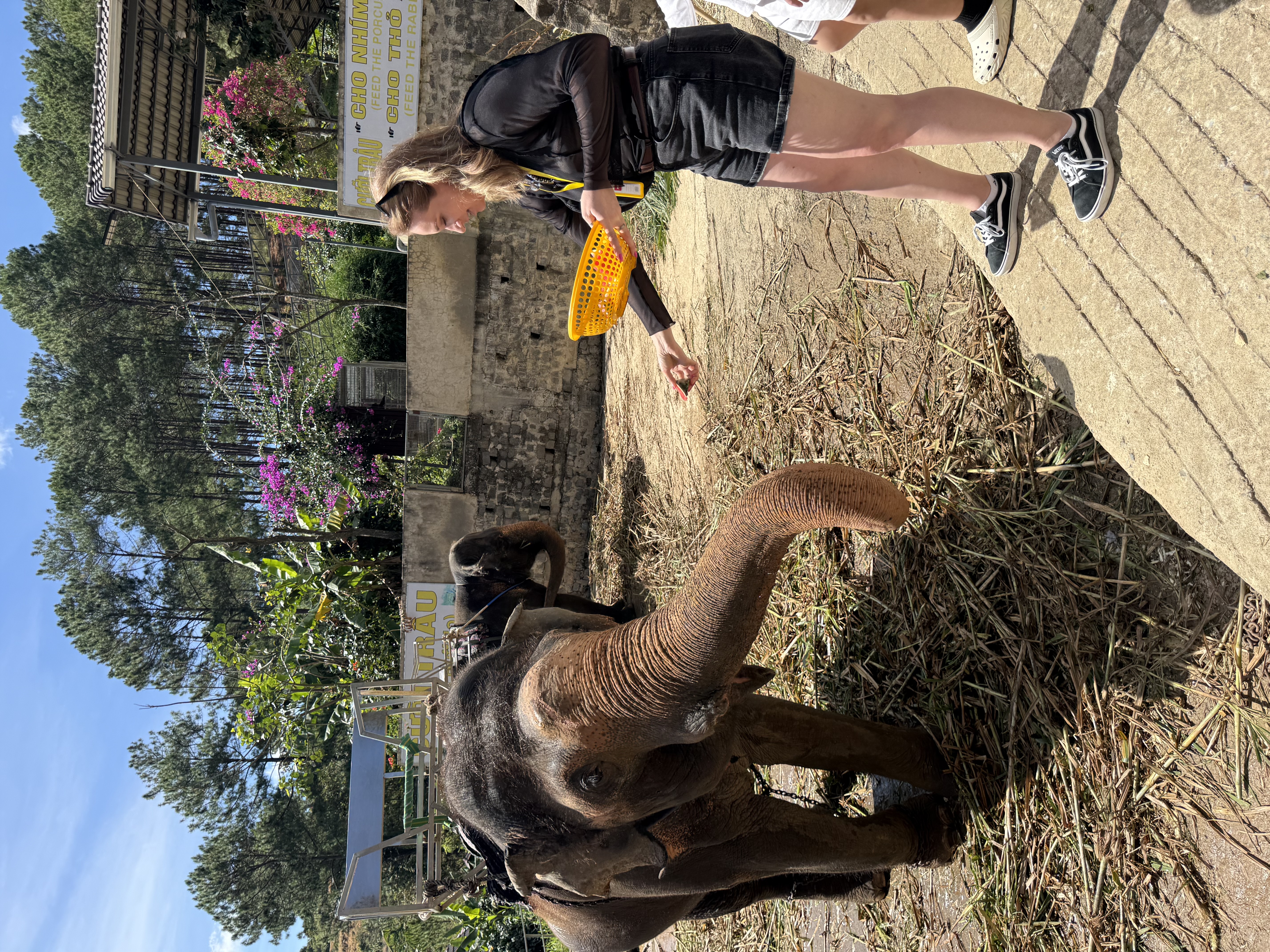 Новый год 2027 во Вьетнаме: приключение для тех, кто ищет настоящие эмоции (40/40)