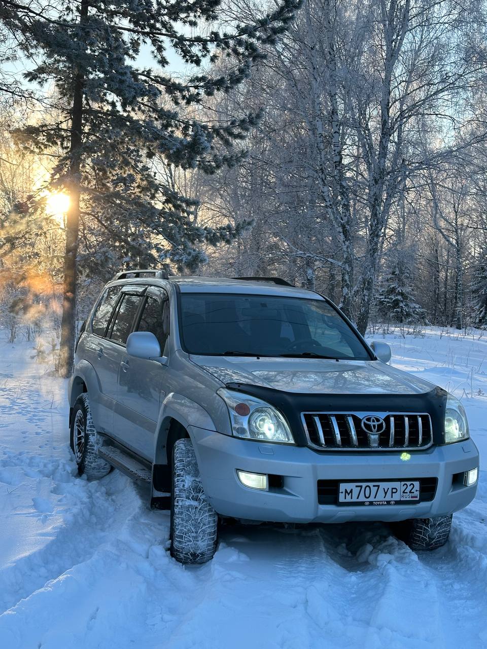 Лебединый заказник и дополнительно рекомендуем обед в стиле Гастроботаники (10/13)