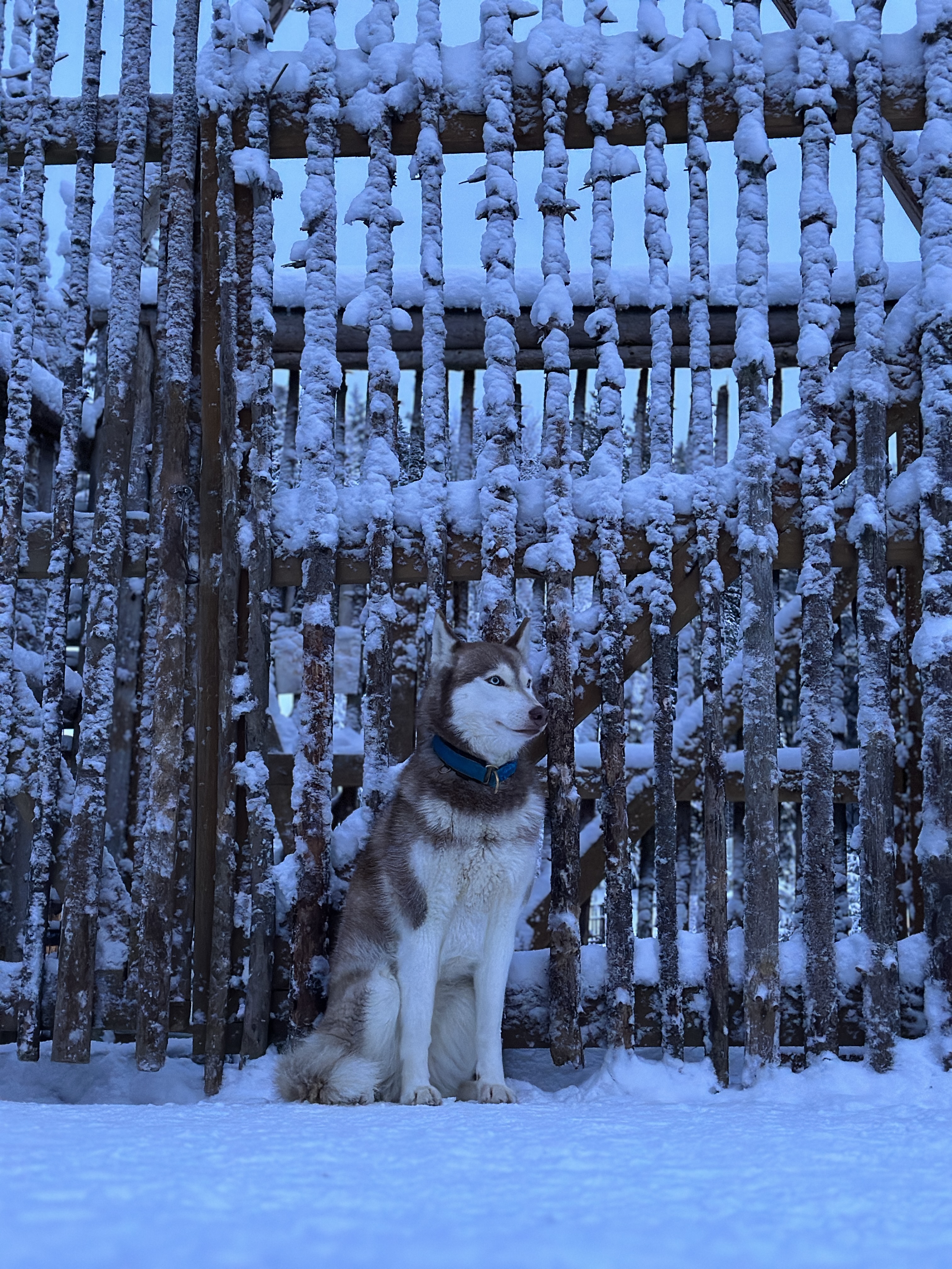 Выходные в Карелии: прогулки по шхерам Ладоги и Долина водопадов (2/16)