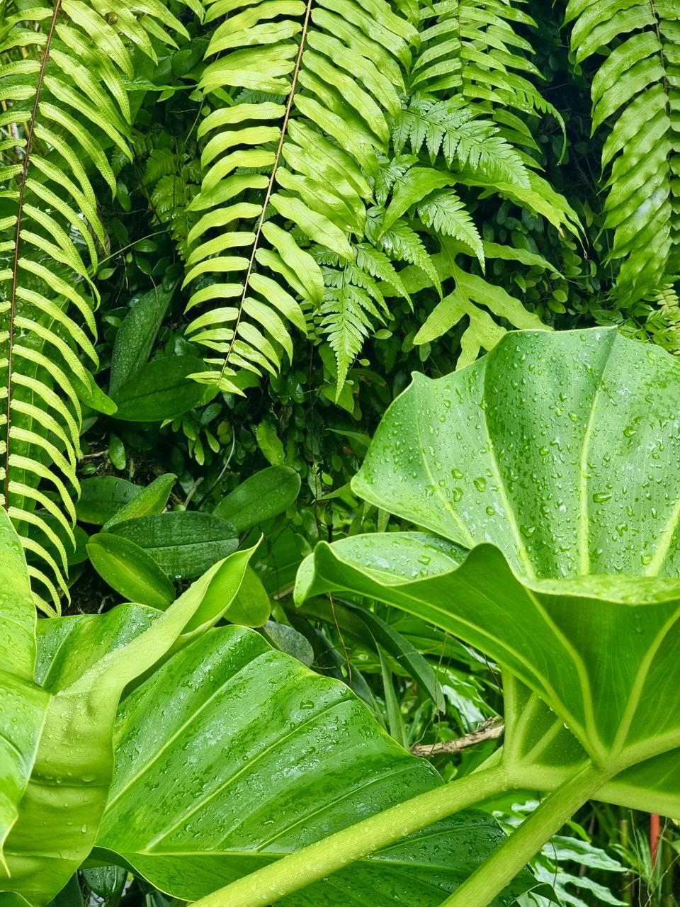 Активация Чувствования себя - Ретрит, меняющий Жизнь (4/12)