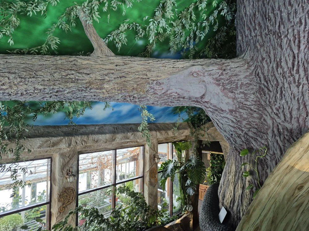 Лебединый заказник и дополнительно рекомендуем обед в стиле Гастроботаники