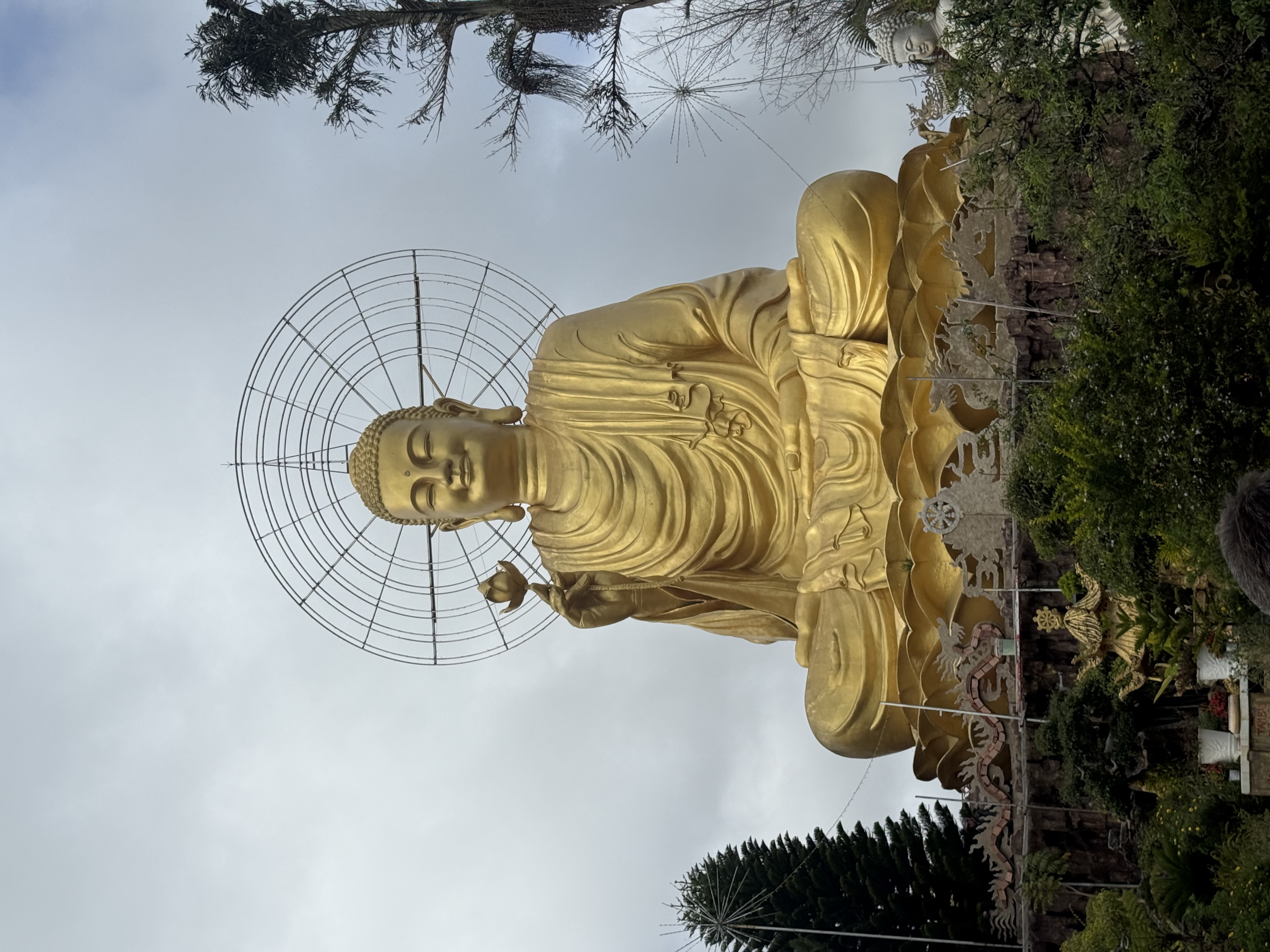 Новый год 2027 во Вьетнаме: приключение для тех, кто ищет настоящие эмоции (16/40)