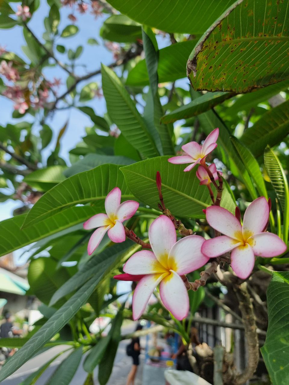 Активация Чувствования себя - Ретрит, меняющий Жизнь (7/12)