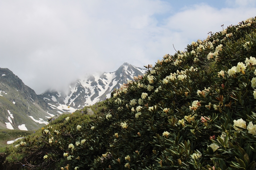 Майские в Кабардино-Балкарии (6/21)