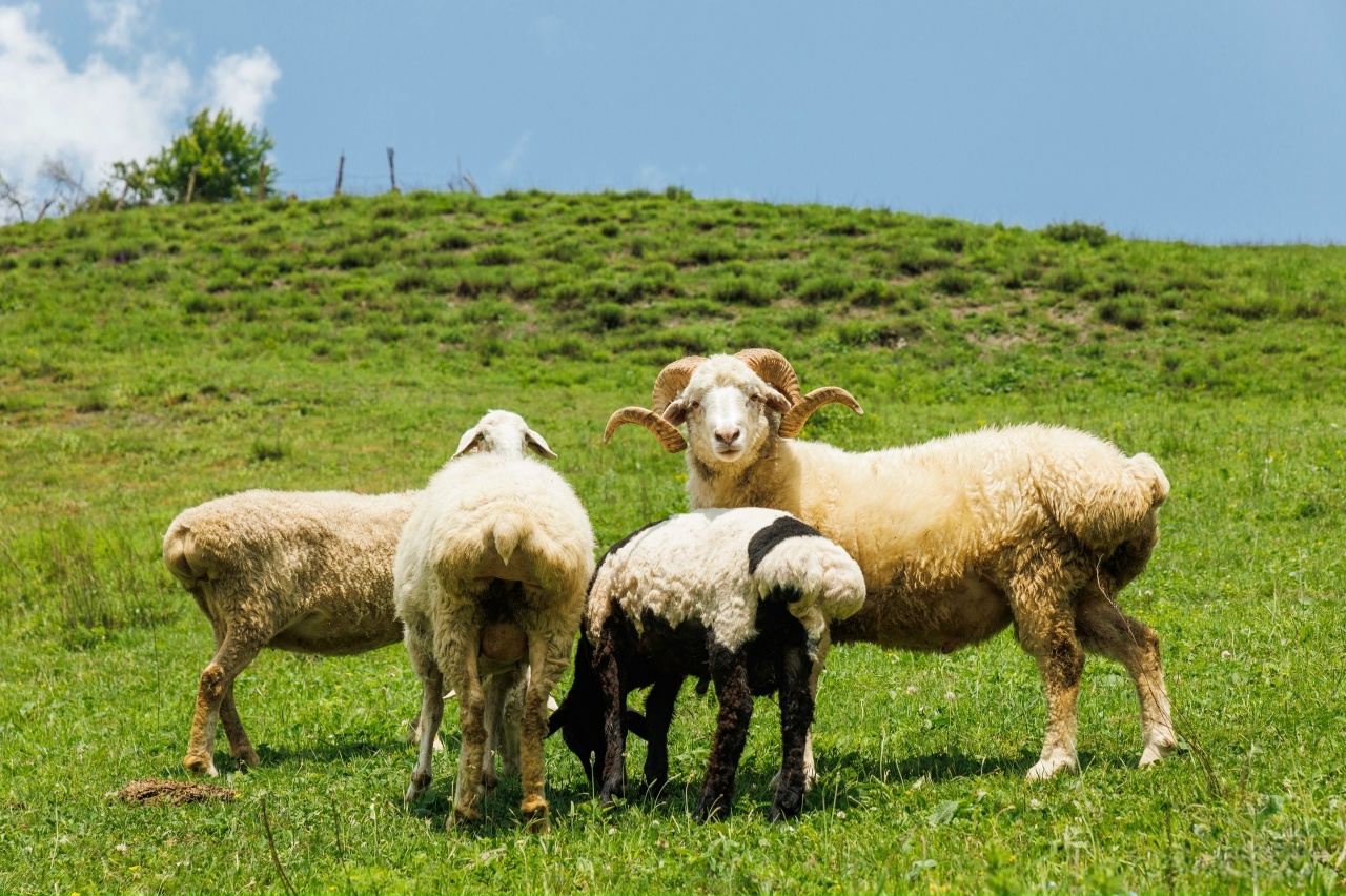 Индивидуальная экскурсия по Золотому кольцу Северной Осетии !