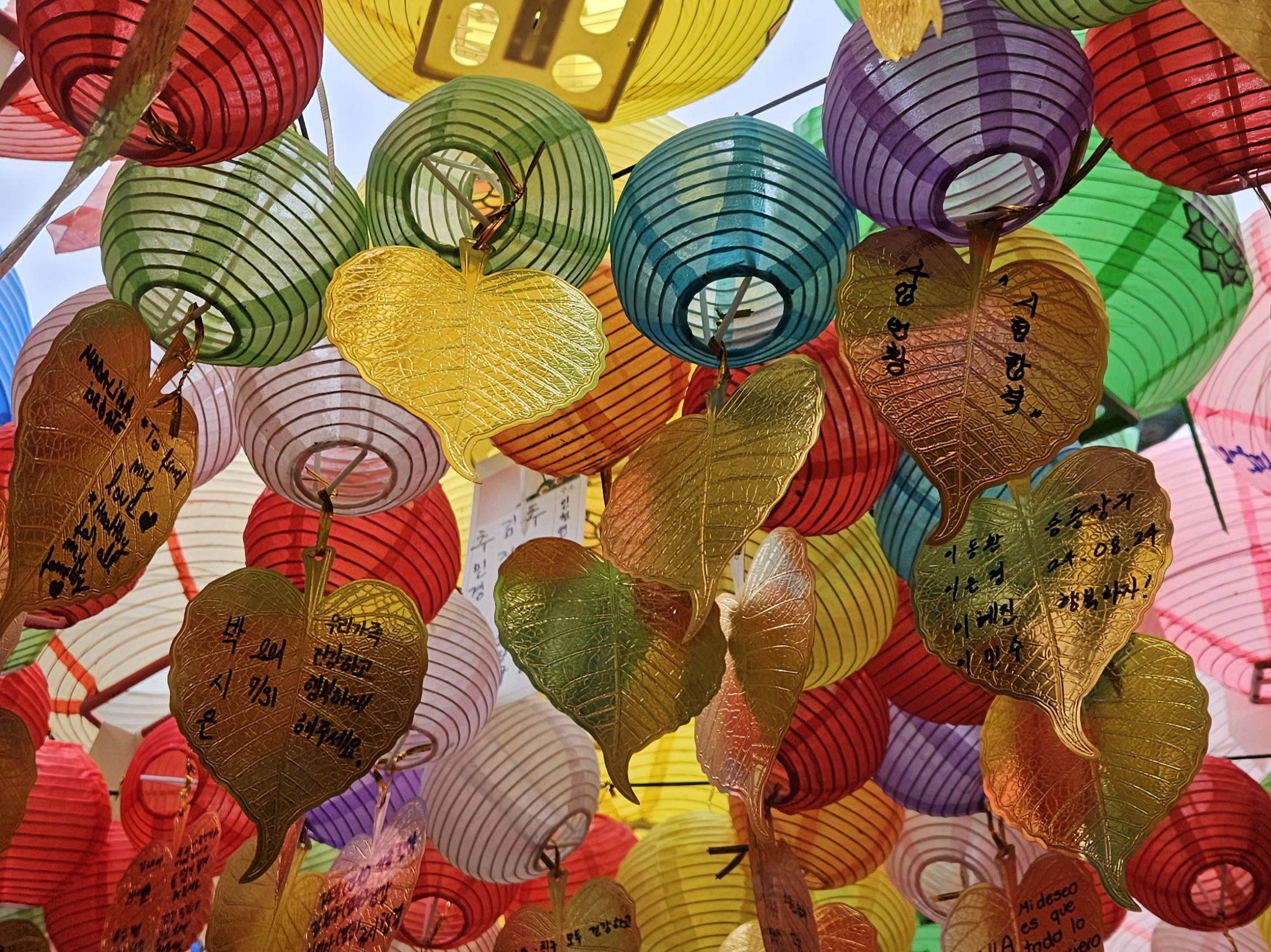 Корея. Жизнь других. Сеул - Пусан - Кёнджу - о. Чеджу (52/58)