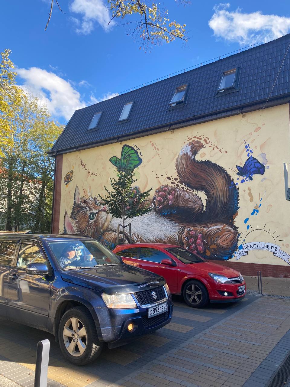 Балтийская пауза (Светлогорск, Куршская коса и Зеленоградск) (16/29)