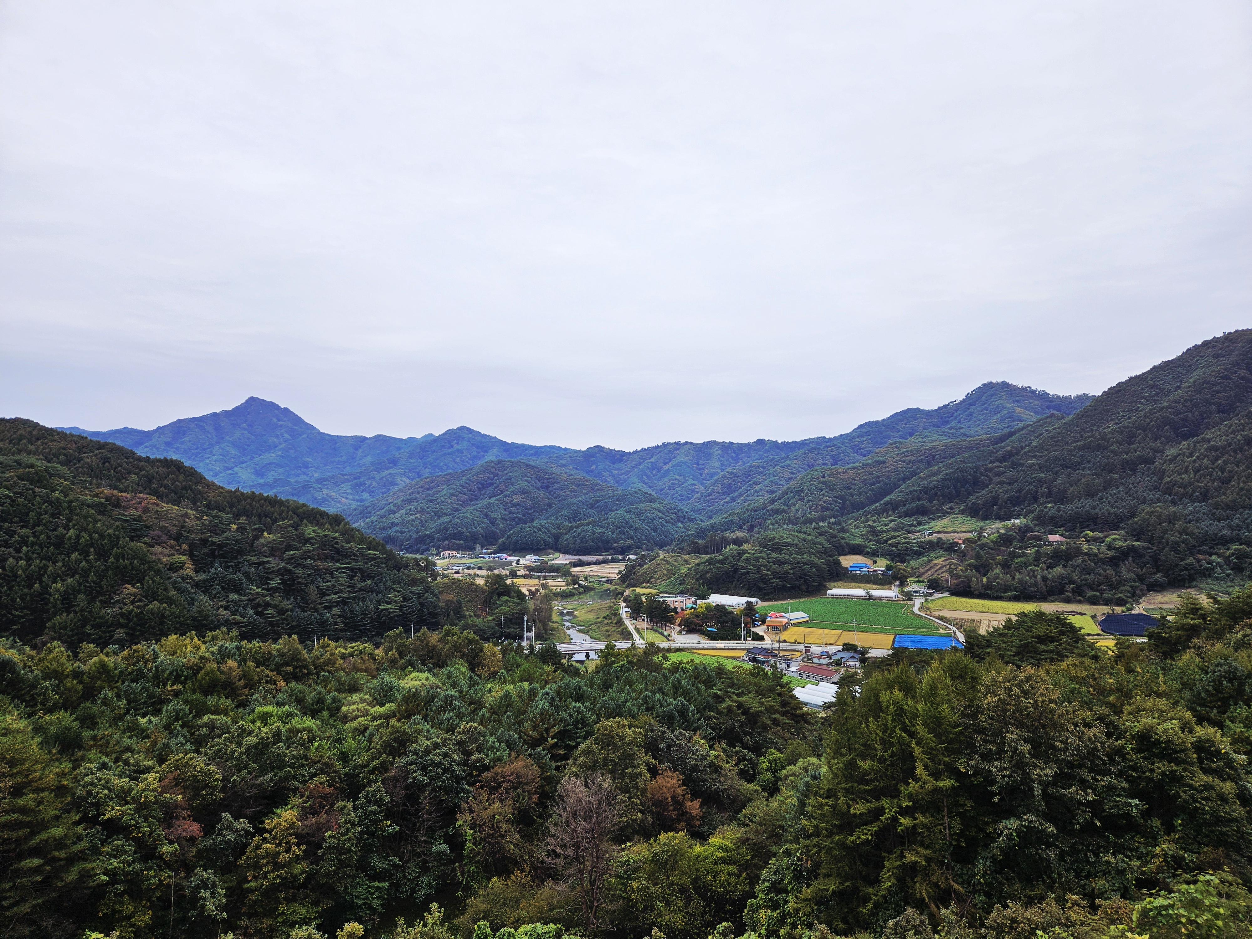 Корея. Жизнь других. Сеул - Пусан - Кёнджу - о. Чеджу (47/58)
