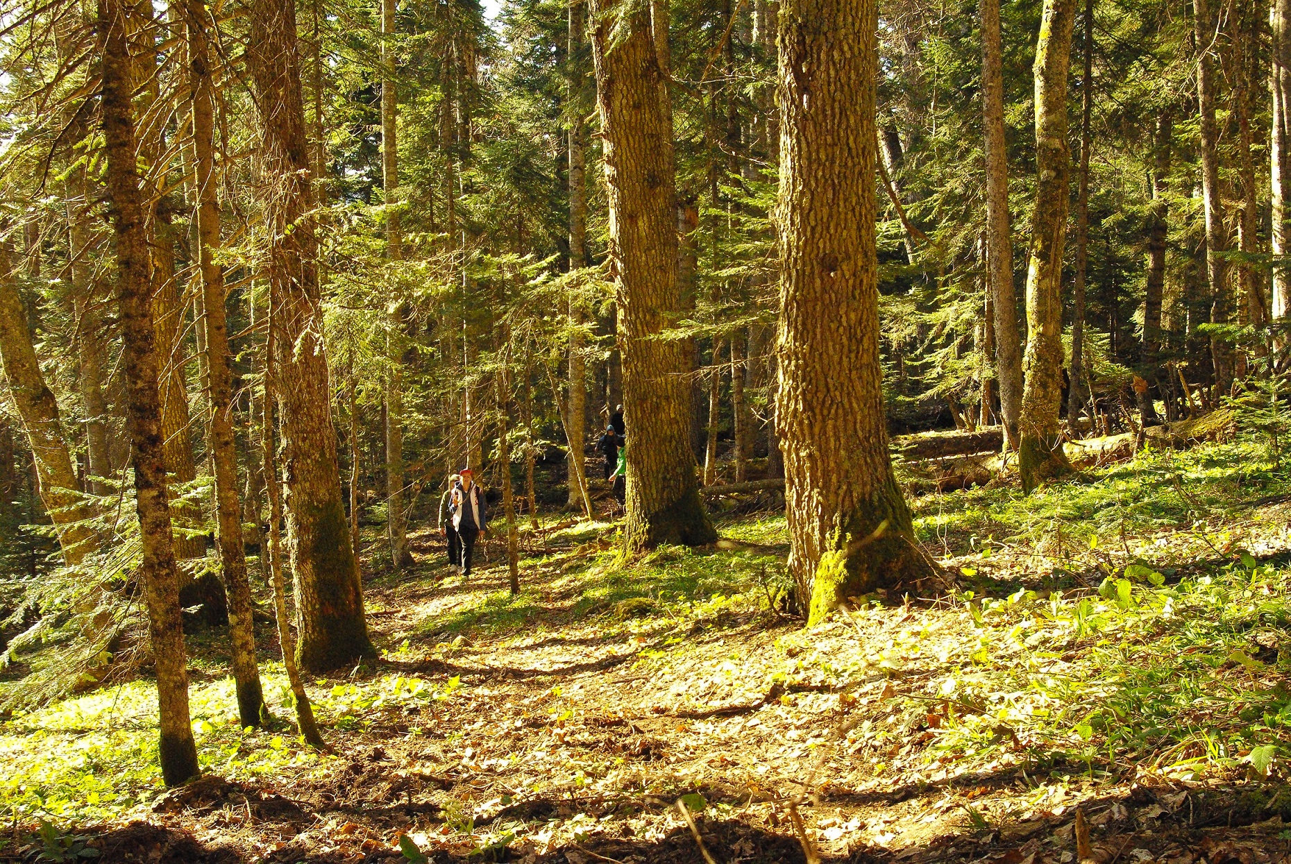 Майские праздники в горах (39/91)