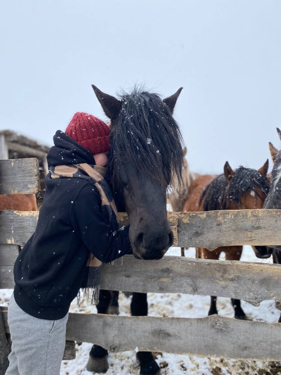 Конно-верховой тур до скалы Акташ (3/7)