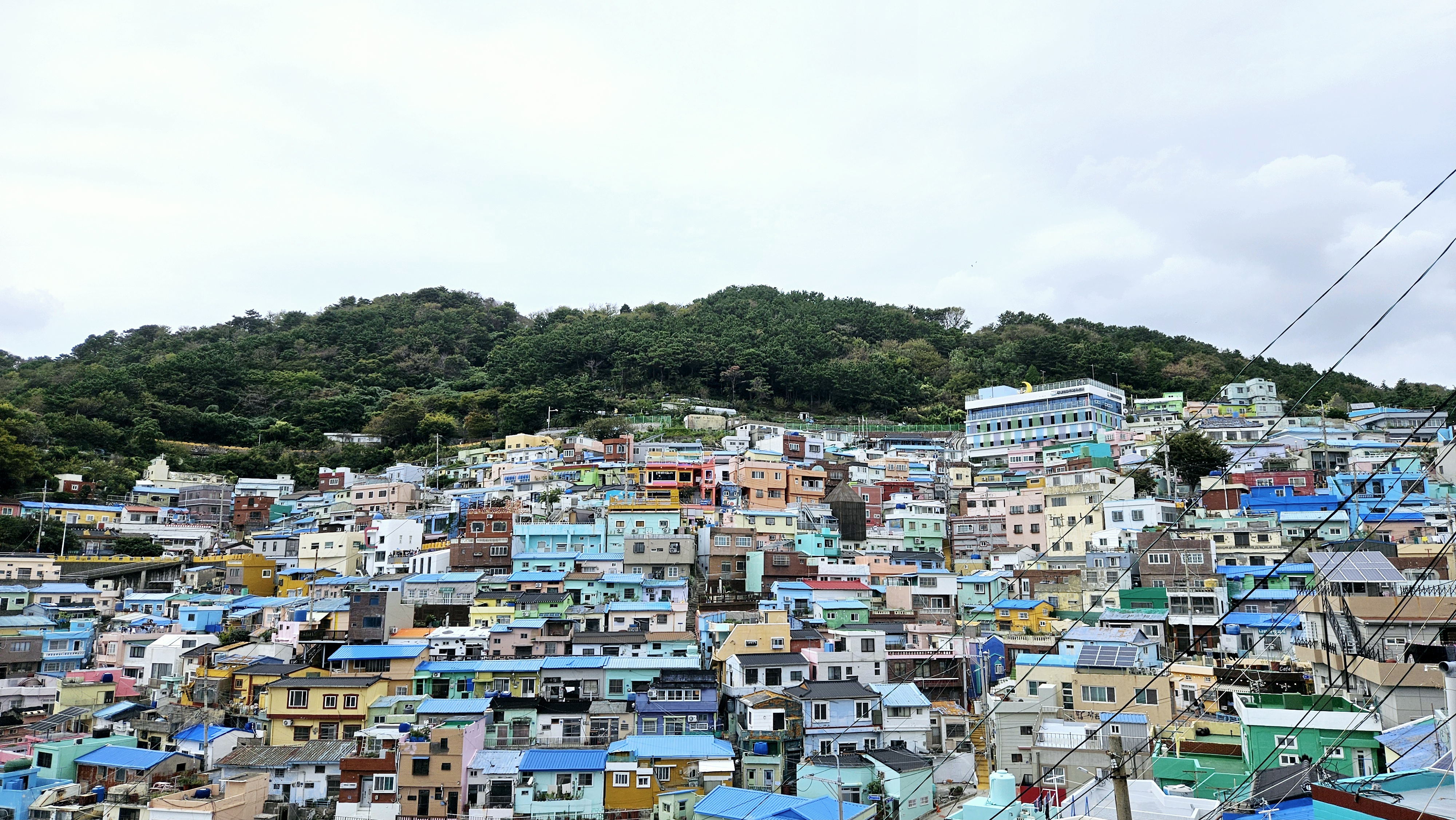 Корея. Жизнь других. Сеул - Пусан - Кёнджу - о. Чеджу (39/58)