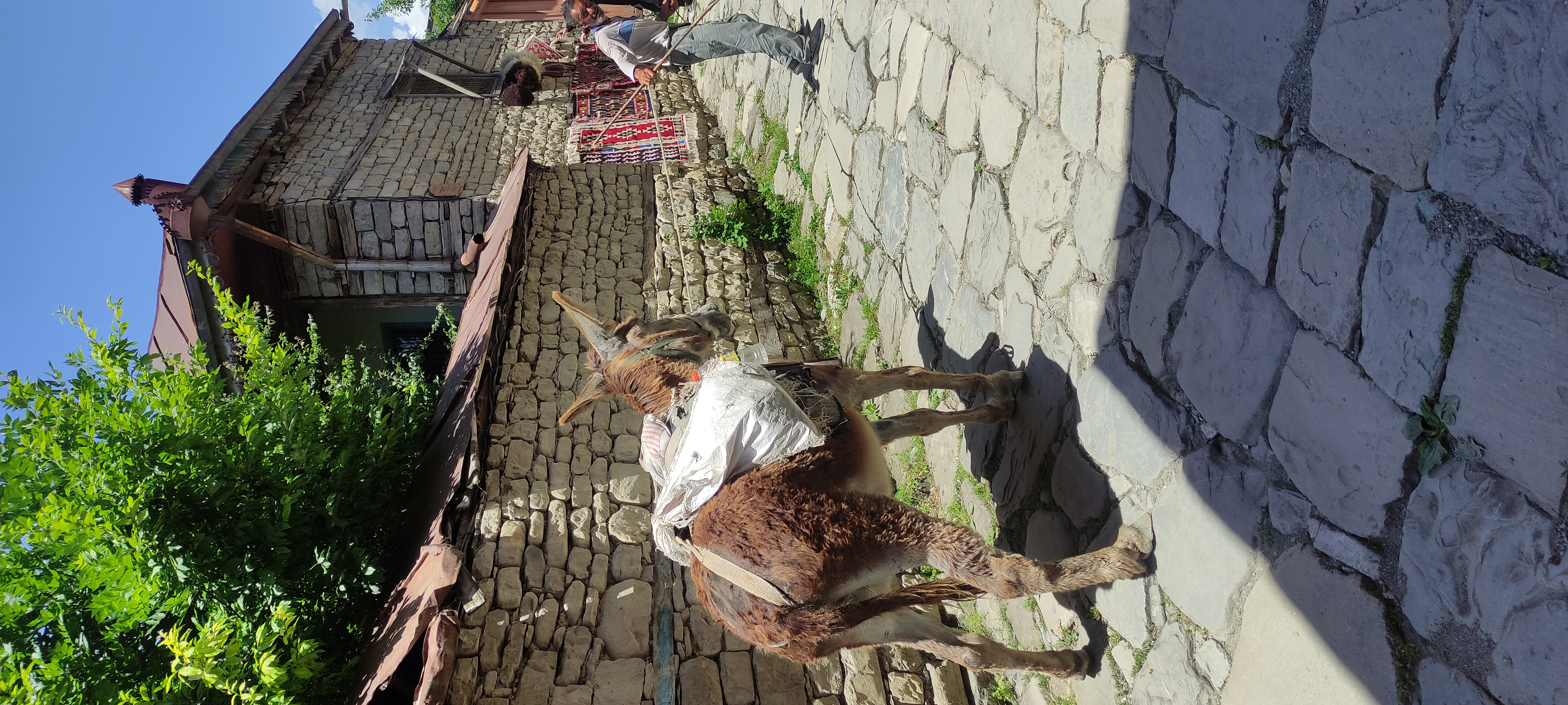 Азербайджан за 2 дня: от Лагича до горы Туфандаг, винные дегустации, альпаки канатка (11/41)