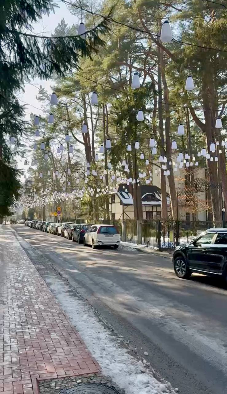 Балтийская пауза (Светлогорск, Куршская коса и Зеленоградск) (4/29)