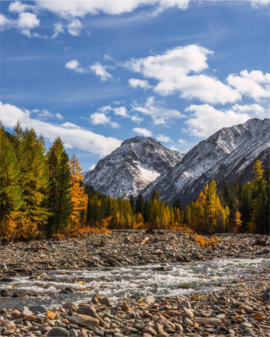 Шумак. Путешествие в место силы. (36/60)