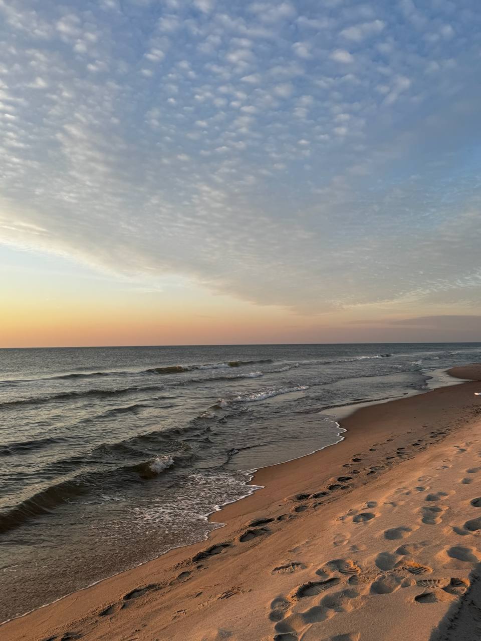 Балтийская пауза (Светлогорск, Куршская коса и Зеленоградск) (5/29)
