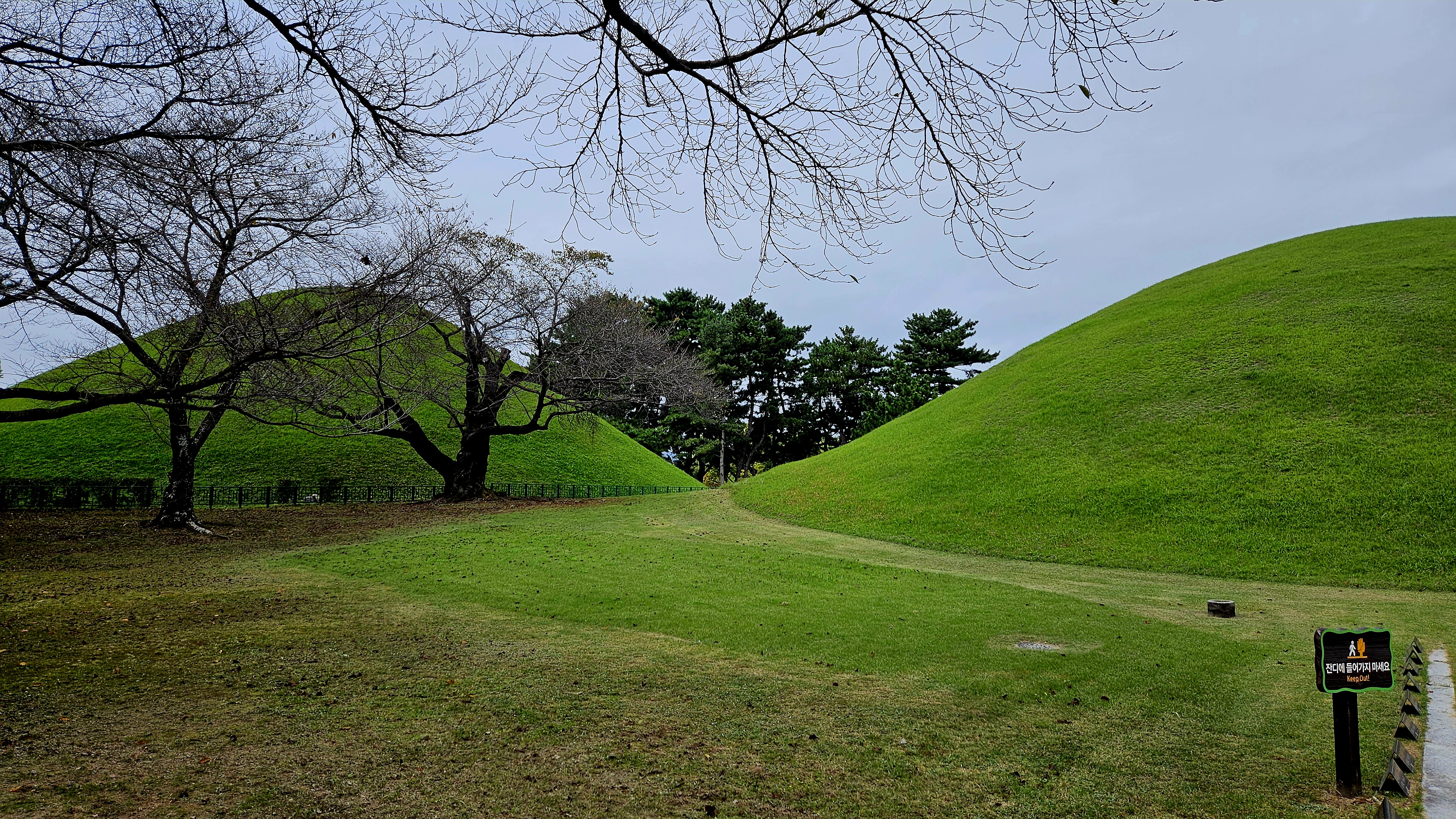 Корея. Жизнь других. Сеул - Пусан - Кёнджу - о. Чеджу (43/58)
