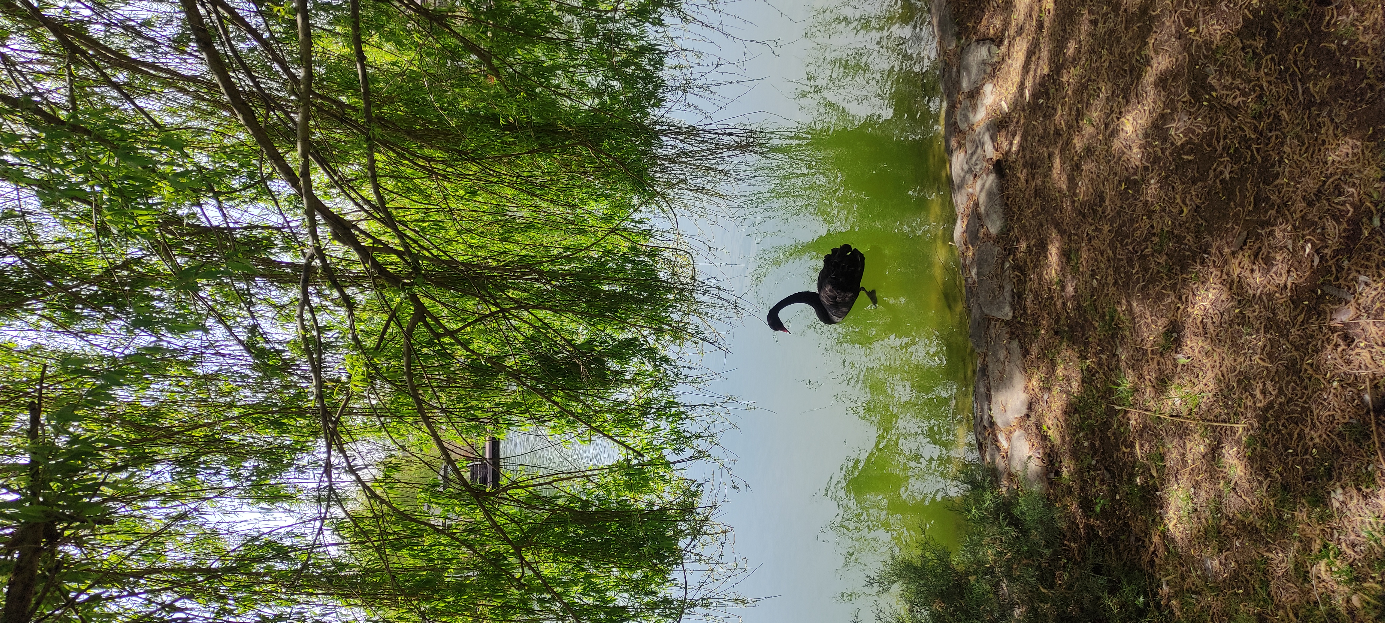 Азербайджан за 2 дня: от Лагича до горы Туфандаг, винные дегустации, альпаки канатка (15/41)