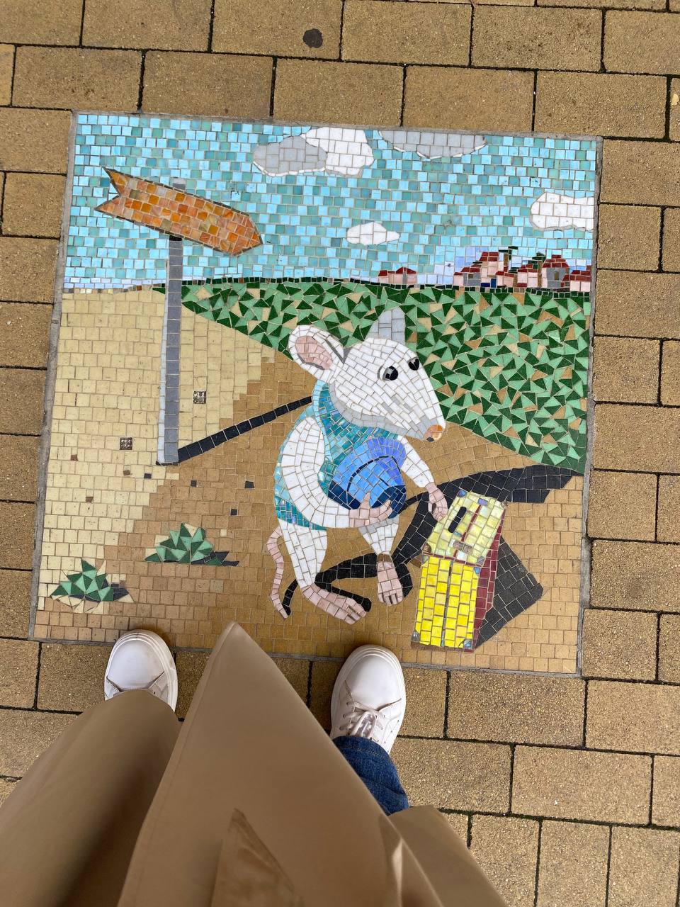 Балтийская пауза (Светлогорск, Куршская коса и Зеленоградск) (14/29)