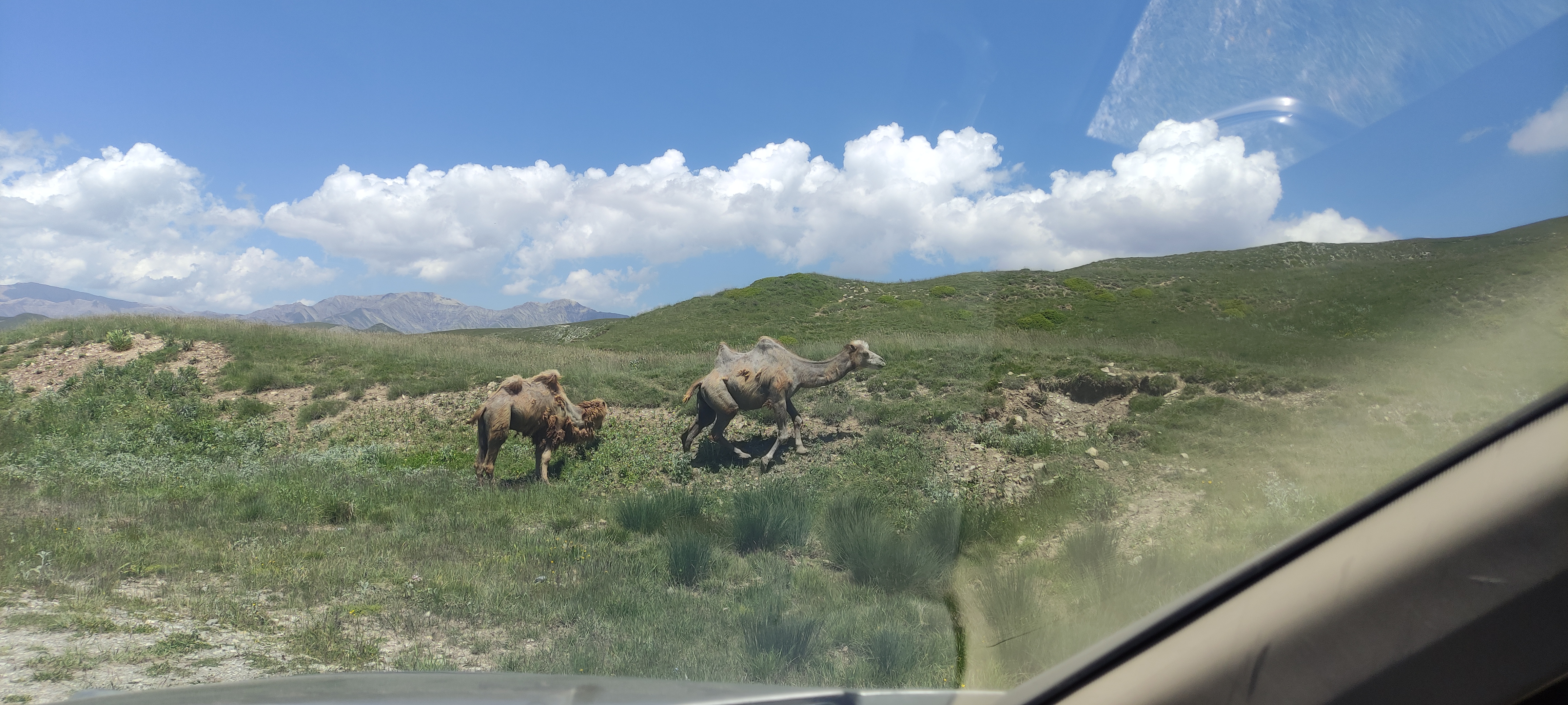 Азербайджан за 2 дня: от Лагича до горы Туфандаг, винные дегустации, альпаки канатка (10/41)