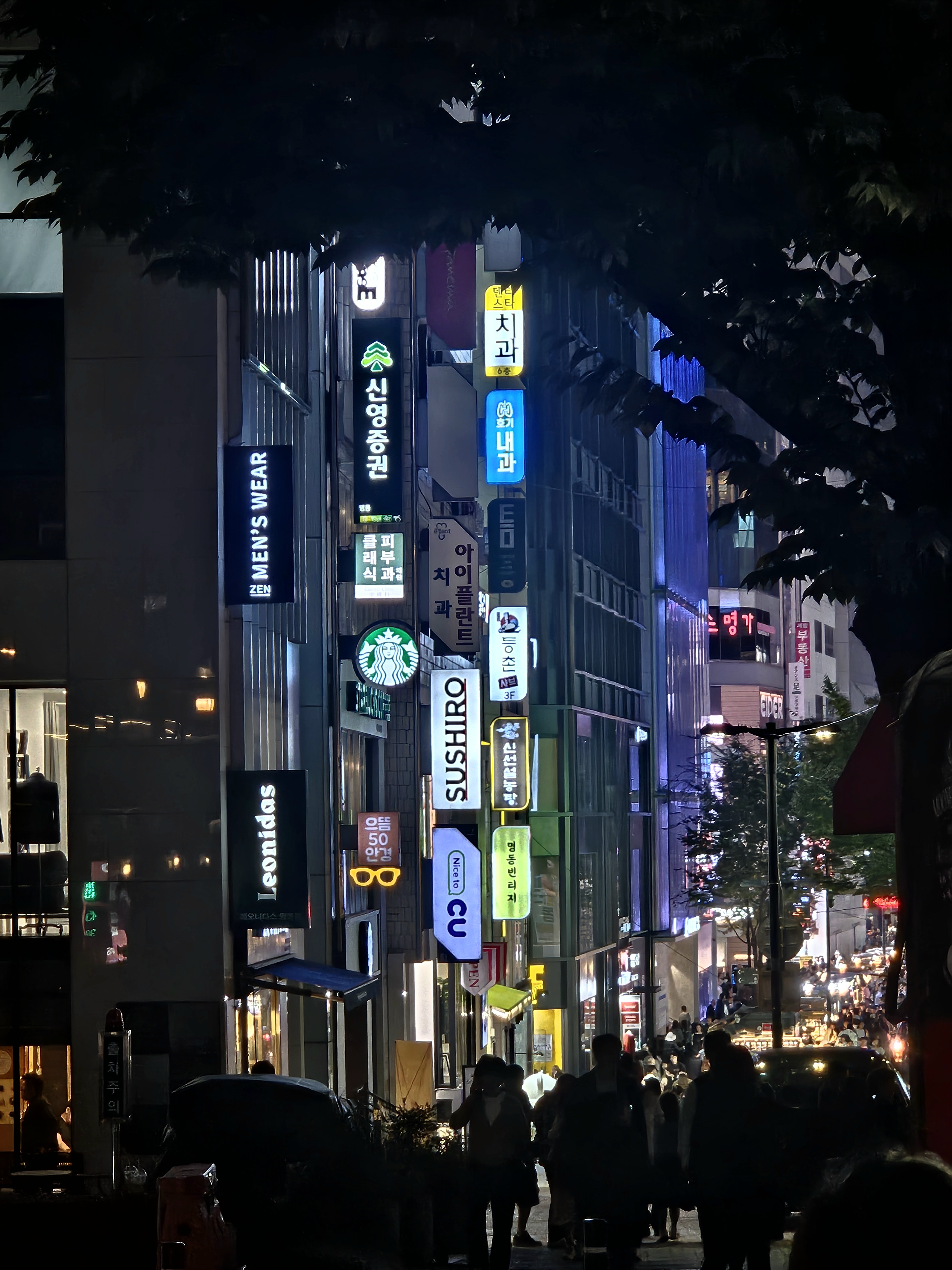 Корея. Жизнь других. Сеул - Пусан - Кёнджу - о. Чеджу (31/58)