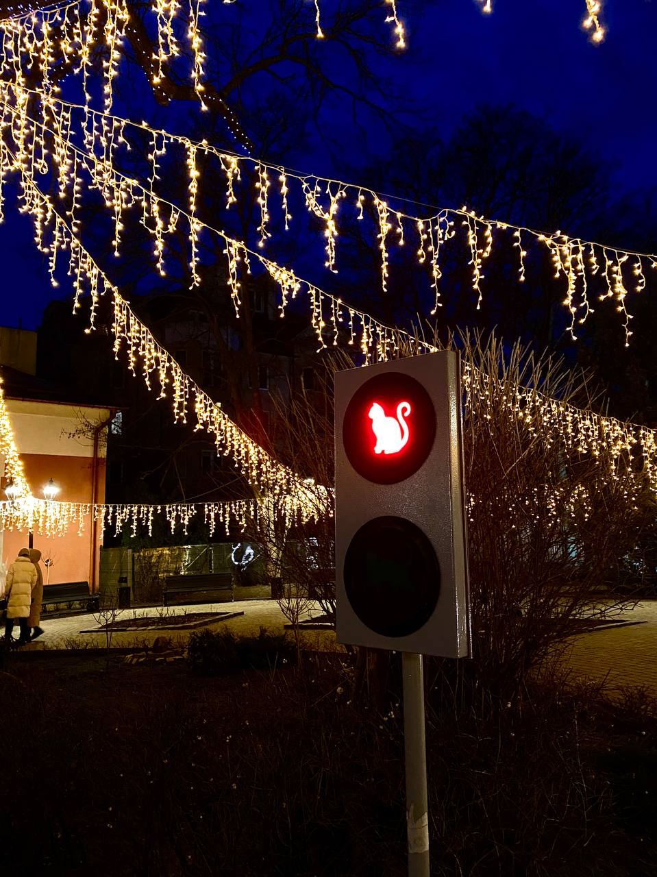 Балтийская пауза (Светлогорск, Куршская коса и Зеленоградск) (15/29)