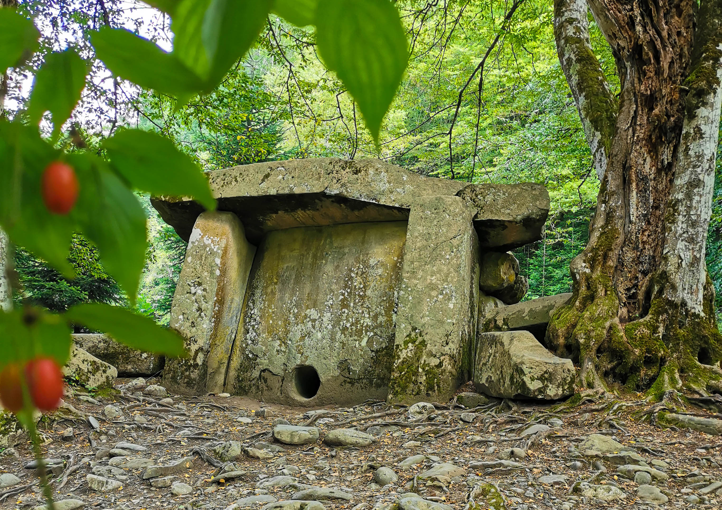 Майские праздники в горах (53/91)