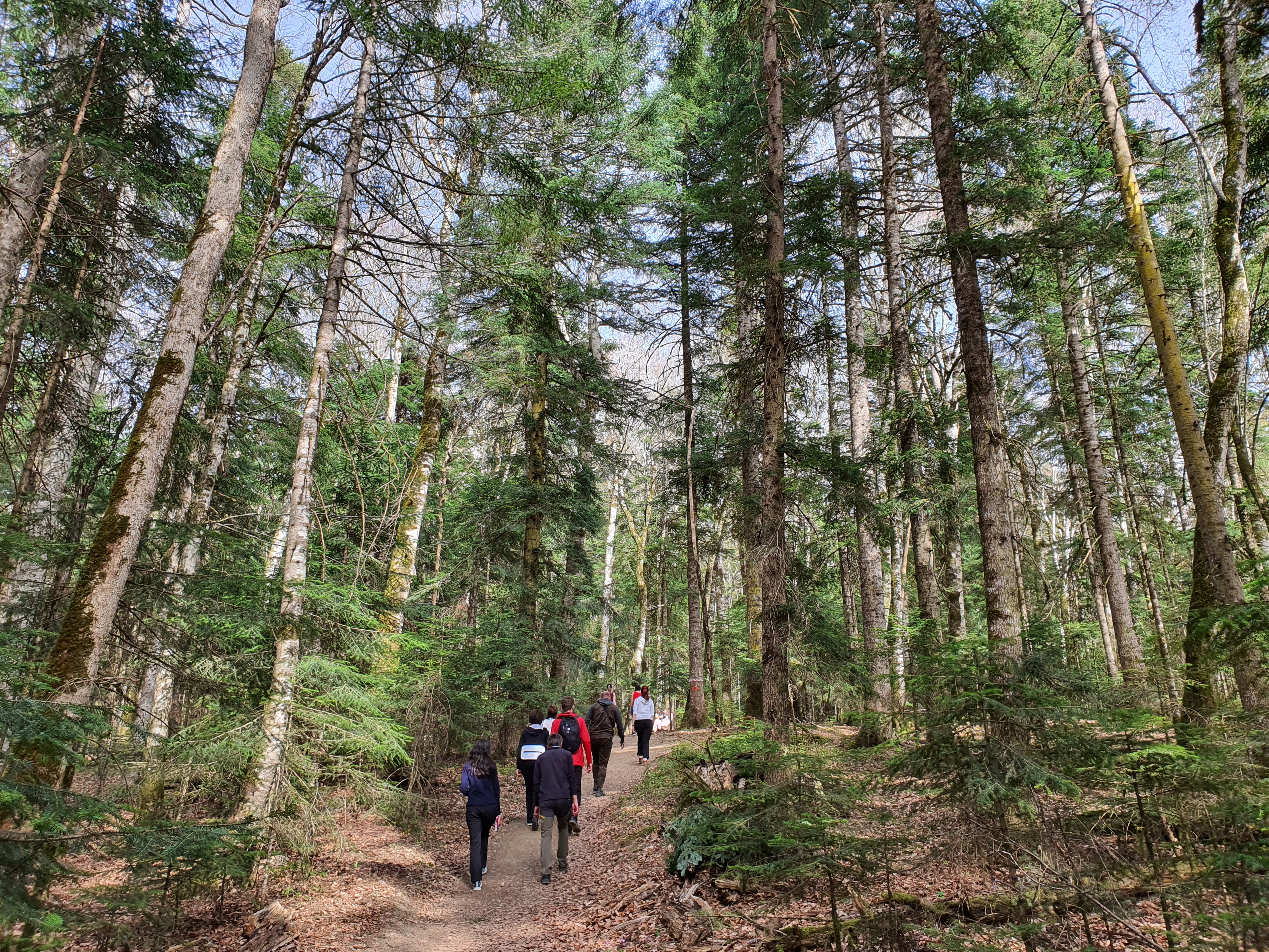 Майские праздники в горах (54/91)