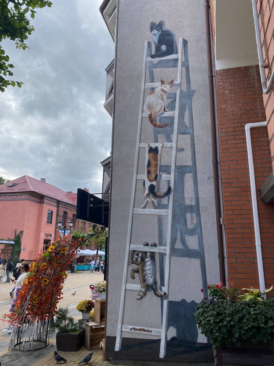 Балтийская пауза (Светлогорск, Куршская коса и Зеленоградск) (13/29)