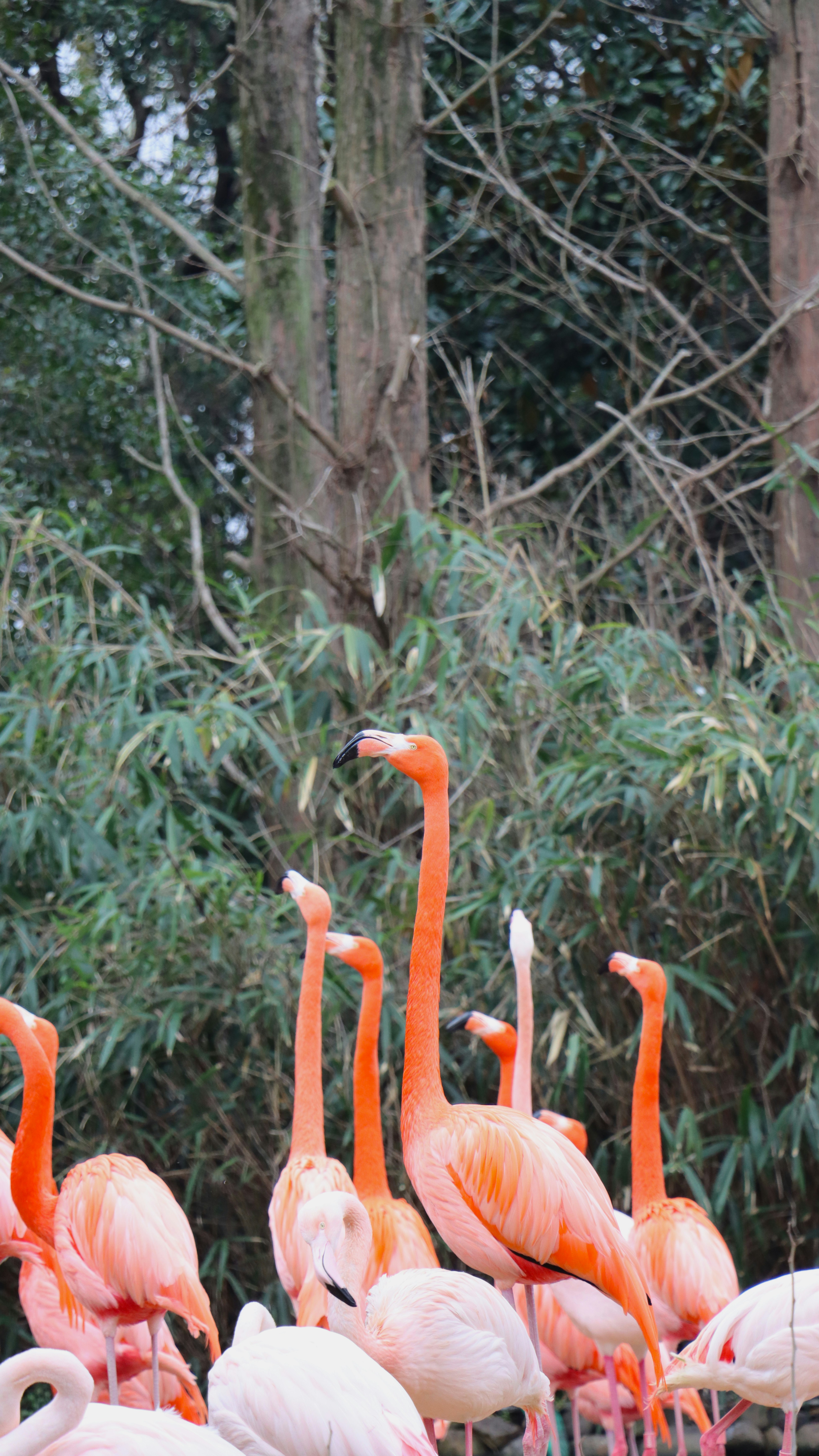 Китай — Большое Приключение Для Всей Семьи (39/58)