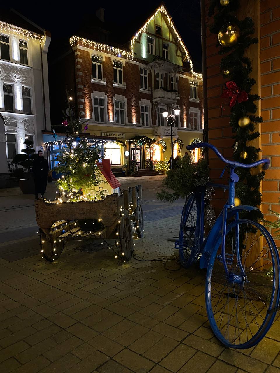 Балтийская пауза (Светлогорск, Куршская коса и Зеленоградск) (10/29)