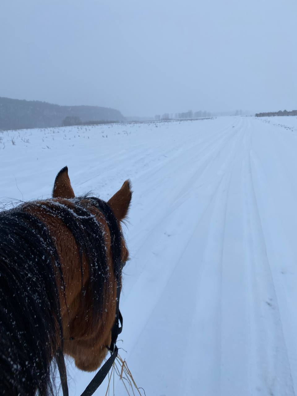 Конно-верховой тур до скалы Акташ (4/7)