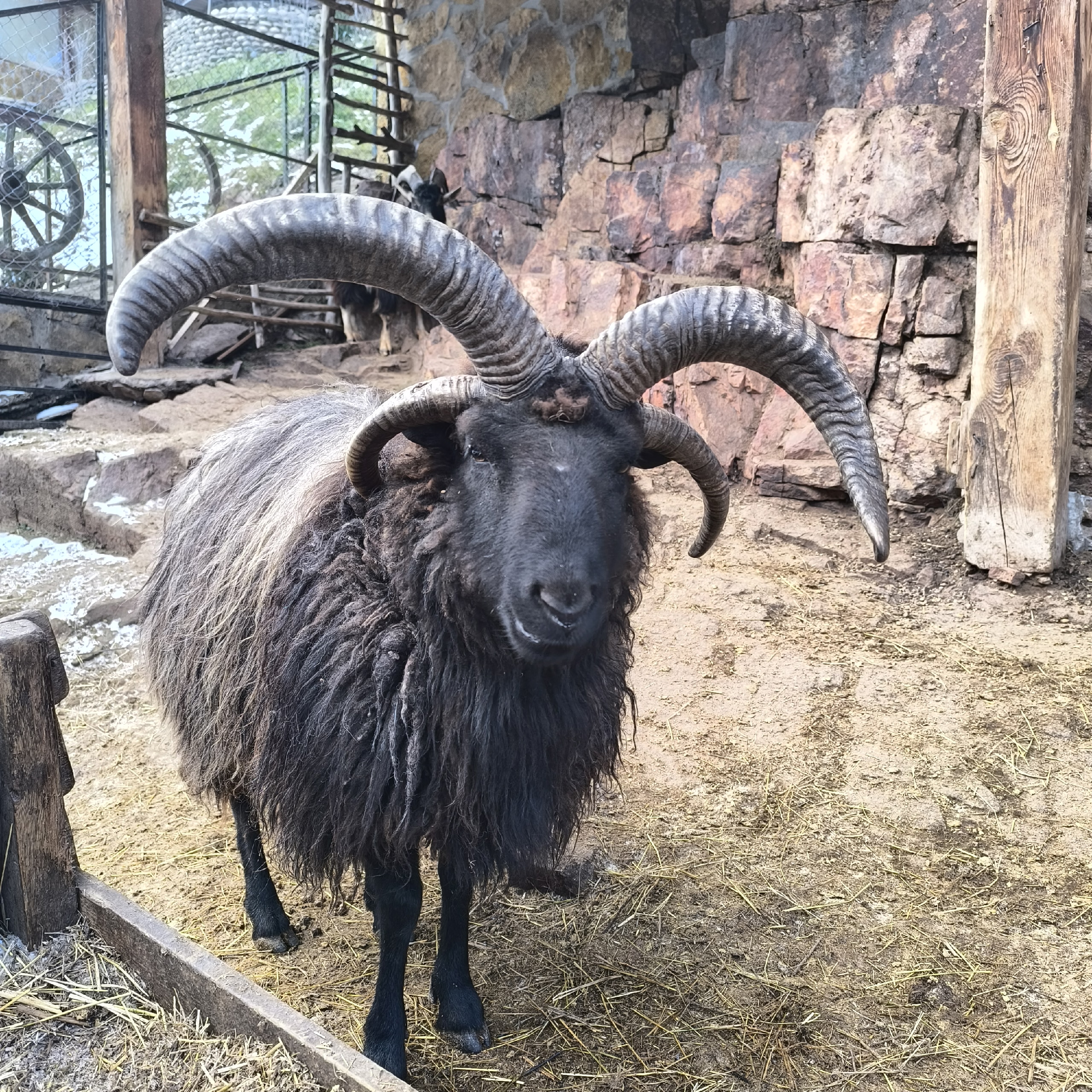 Выходные в горах Кавказа! Домбай, Эльбрус и Медовые водопады (7/17)