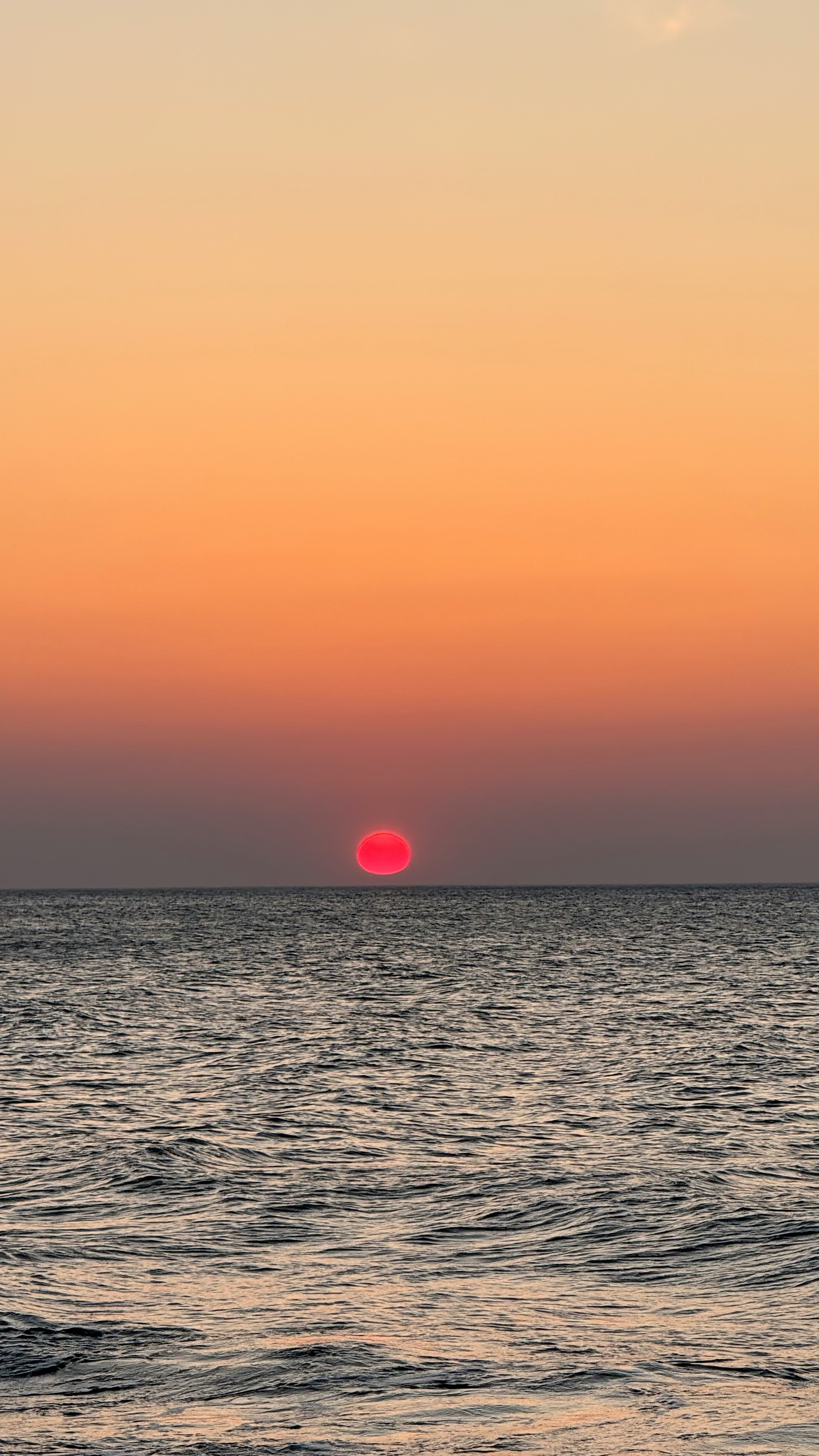 Балтийская пауза (Светлогорск, Куршская коса и Зеленоградск) (19/29)