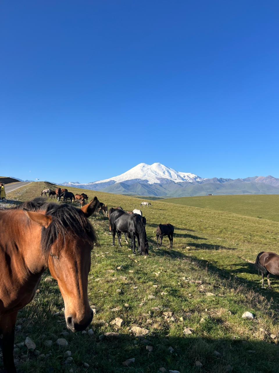 2 насыщенных незабываемых дня в Архызе (15/25)