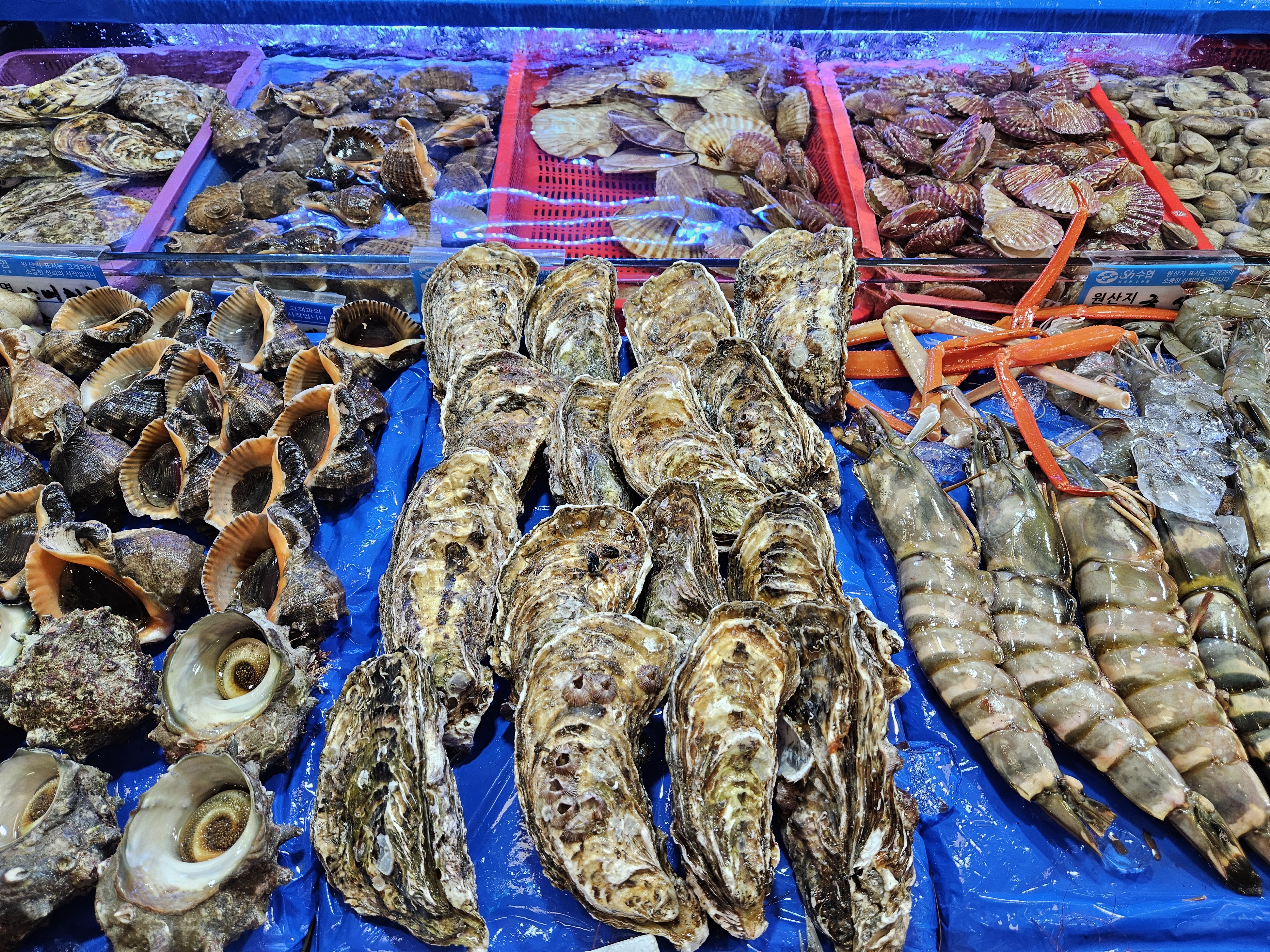 Корея. Жизнь других. Сеул - Пусан - Кёнджу - о. Чеджу (54/58)