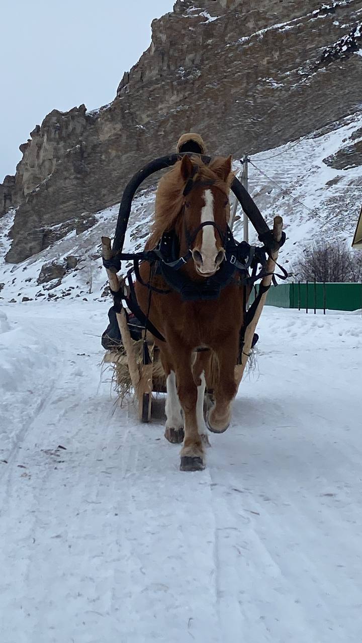 Конно-верховой тур до скалы Акташ (5/7)