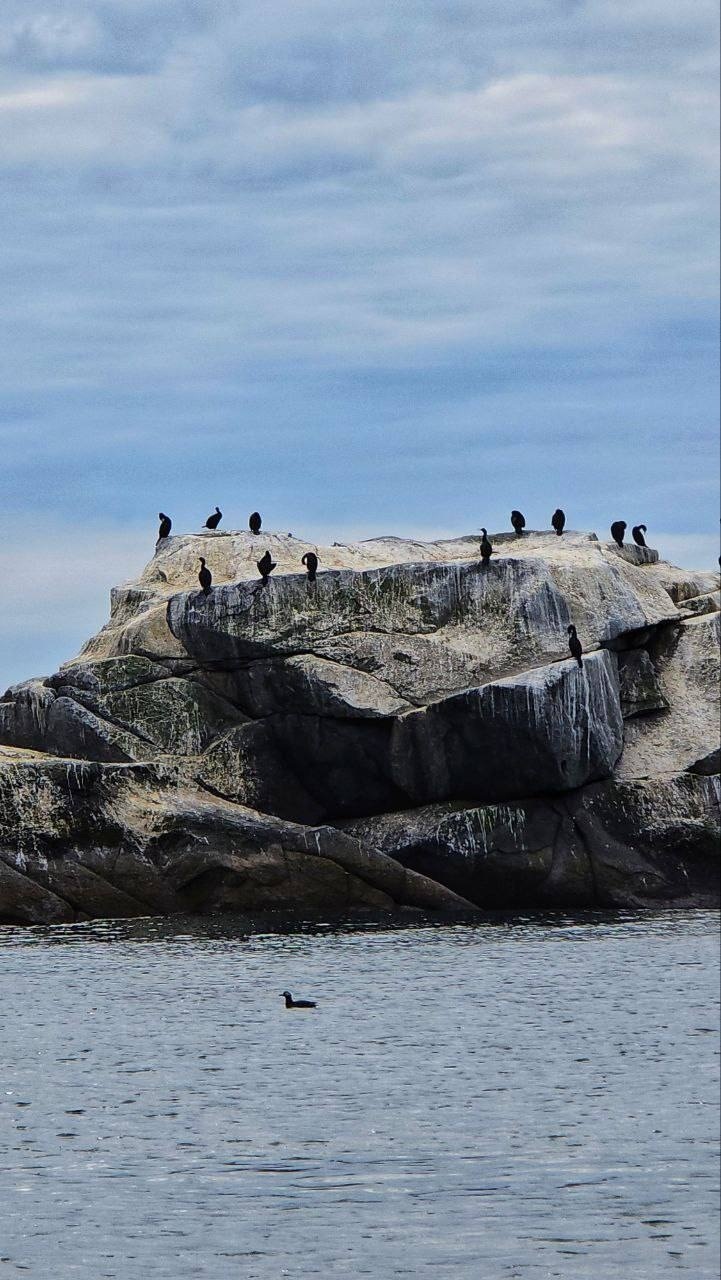 Магадан на релаксе (28/37)