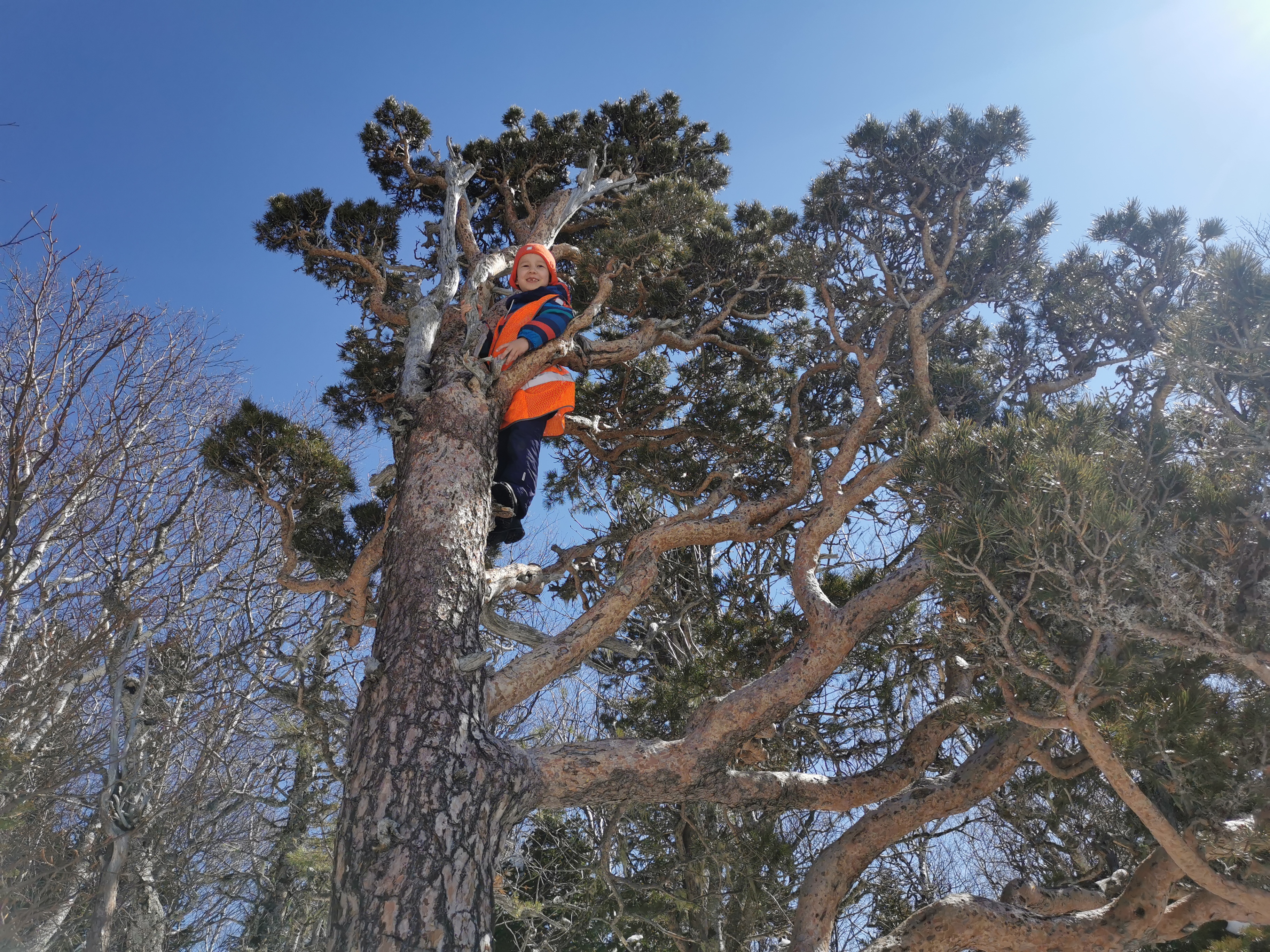 Территория детства. Весна 2026 (28/78)