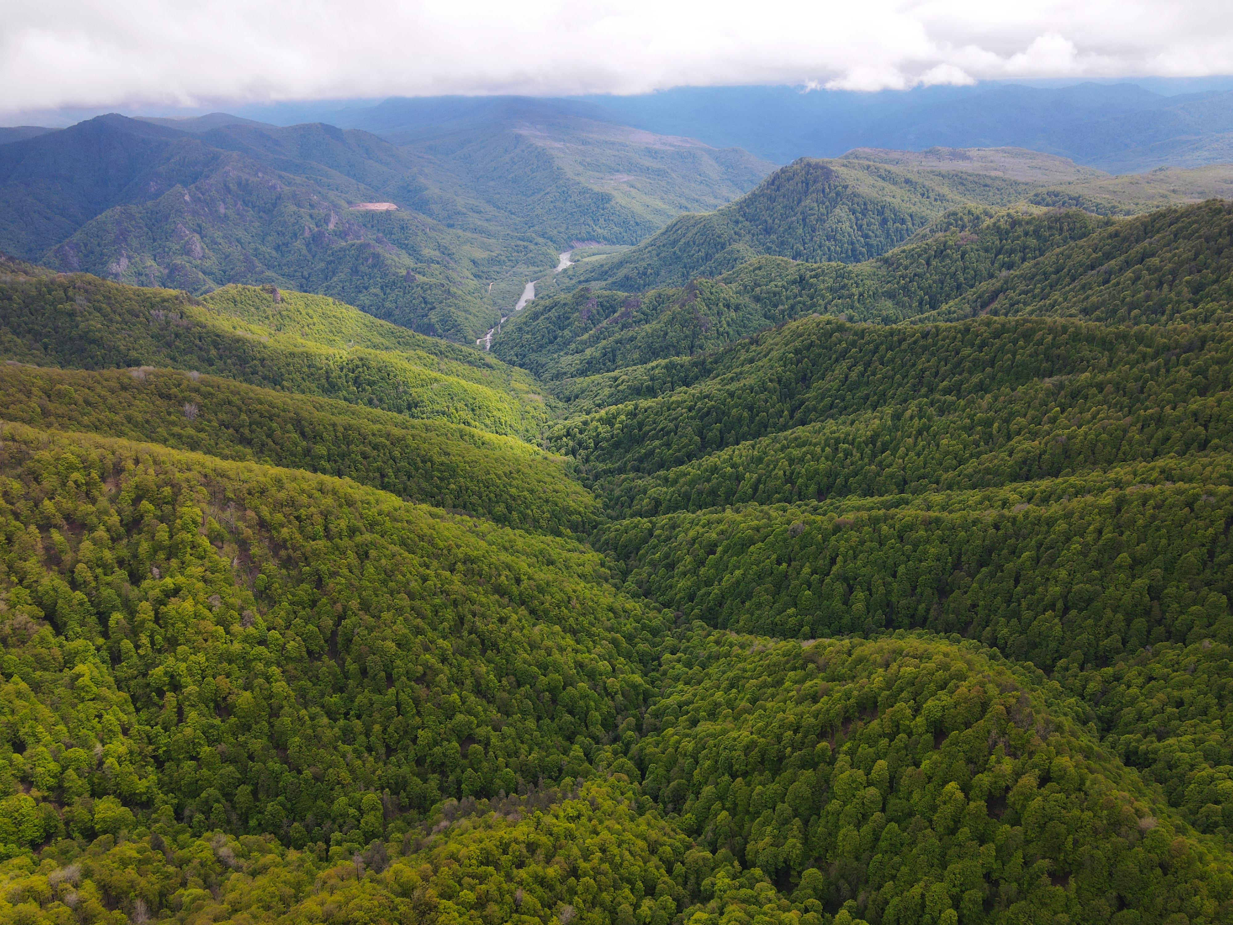 Территория детства. Весна 2026 (31/78)