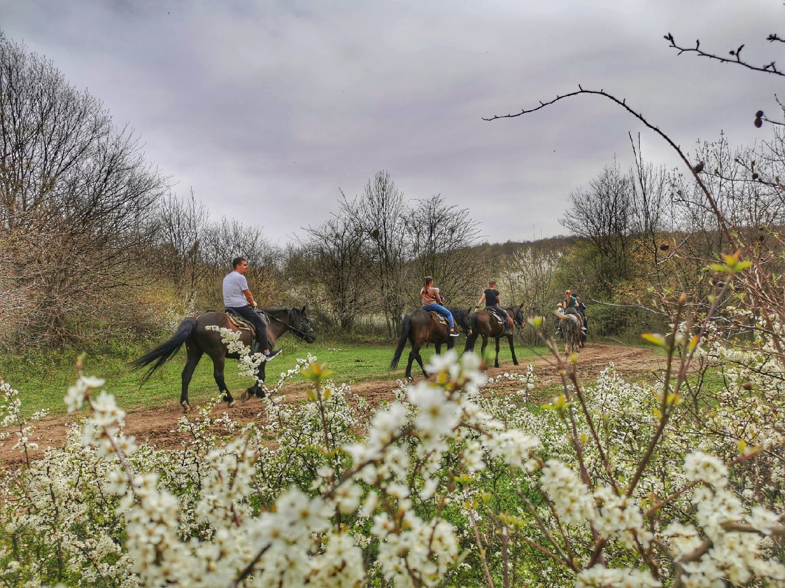 Территория детства. Весна 2026 (36/78)