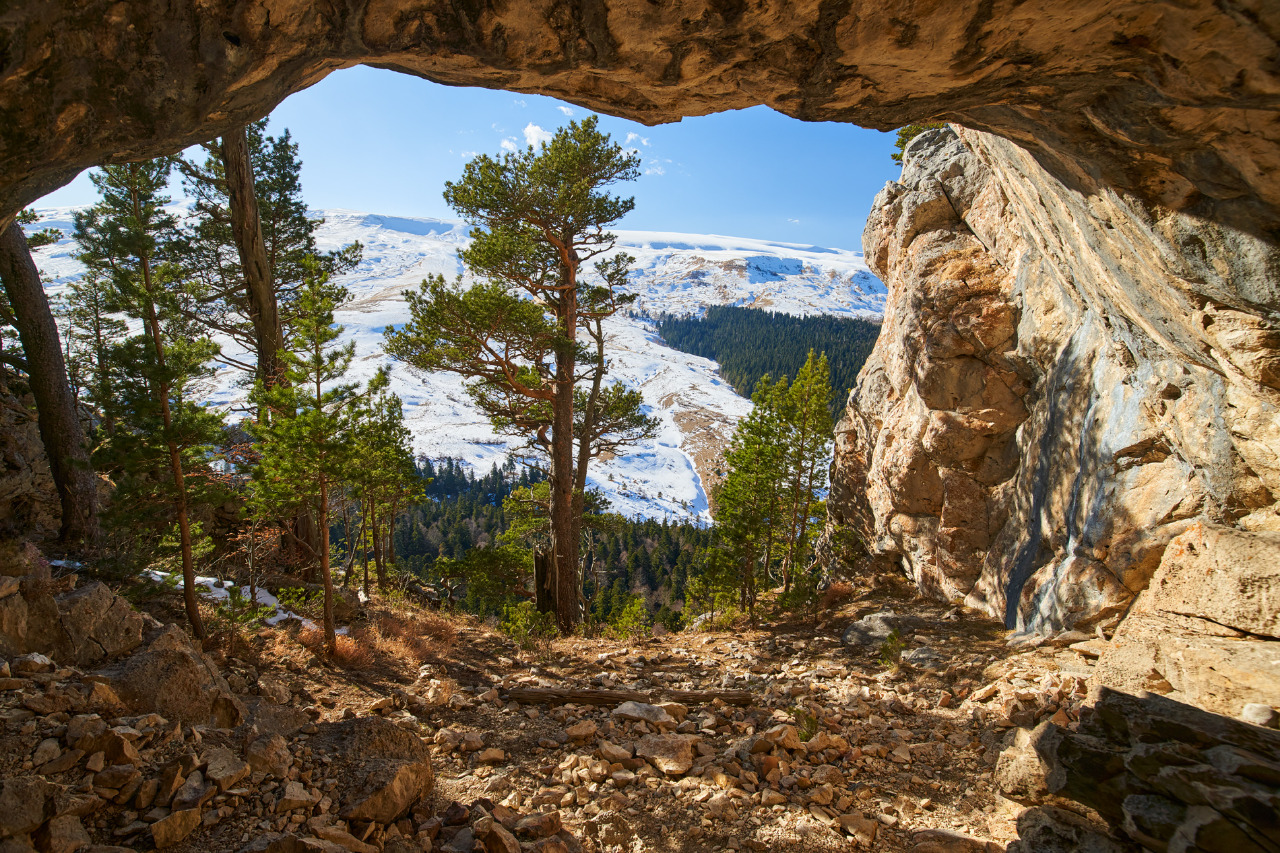 Территория детства. Весна 2026 (26/78)