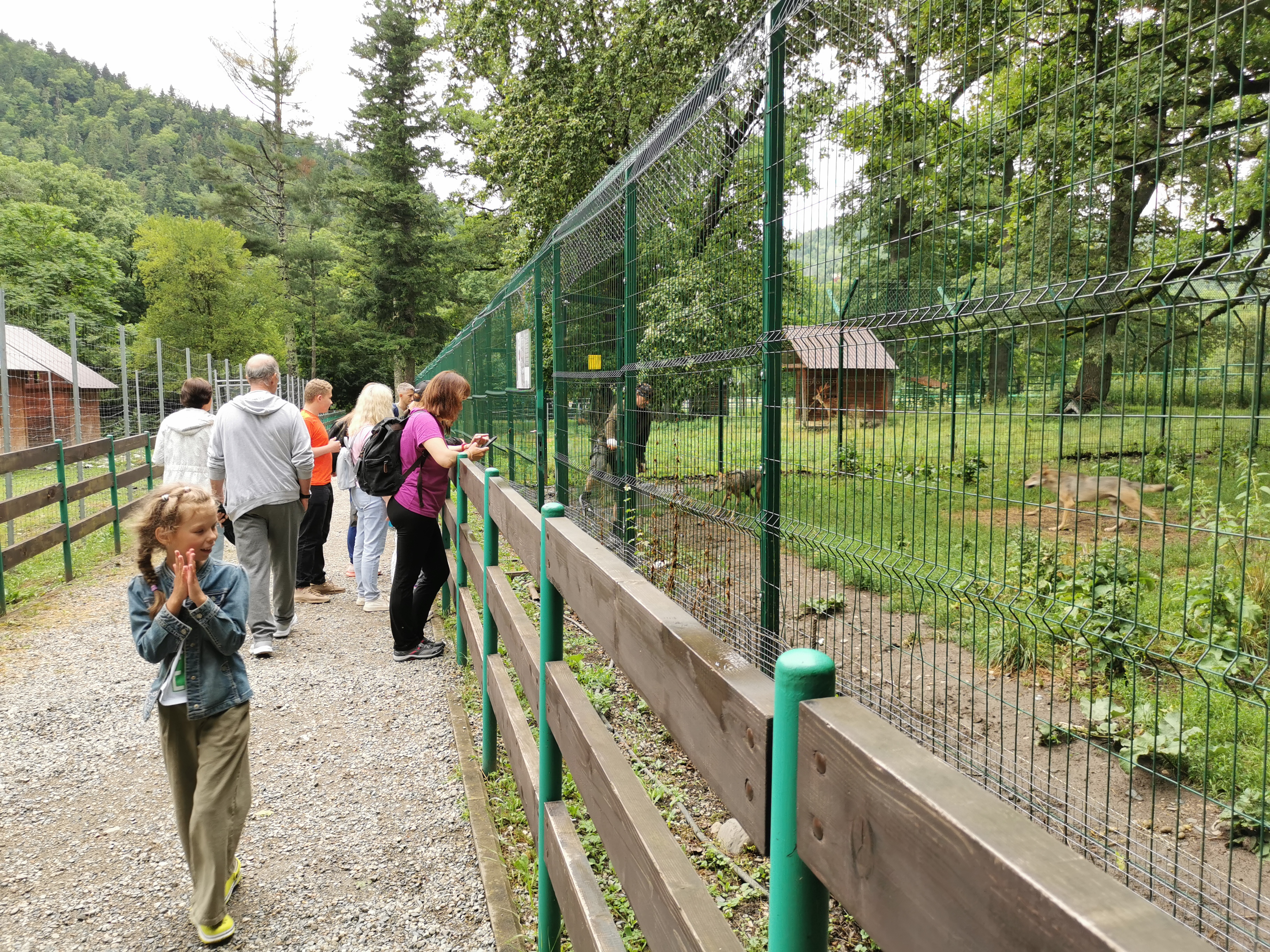 Территория детства. Весна 2026 (46/78)