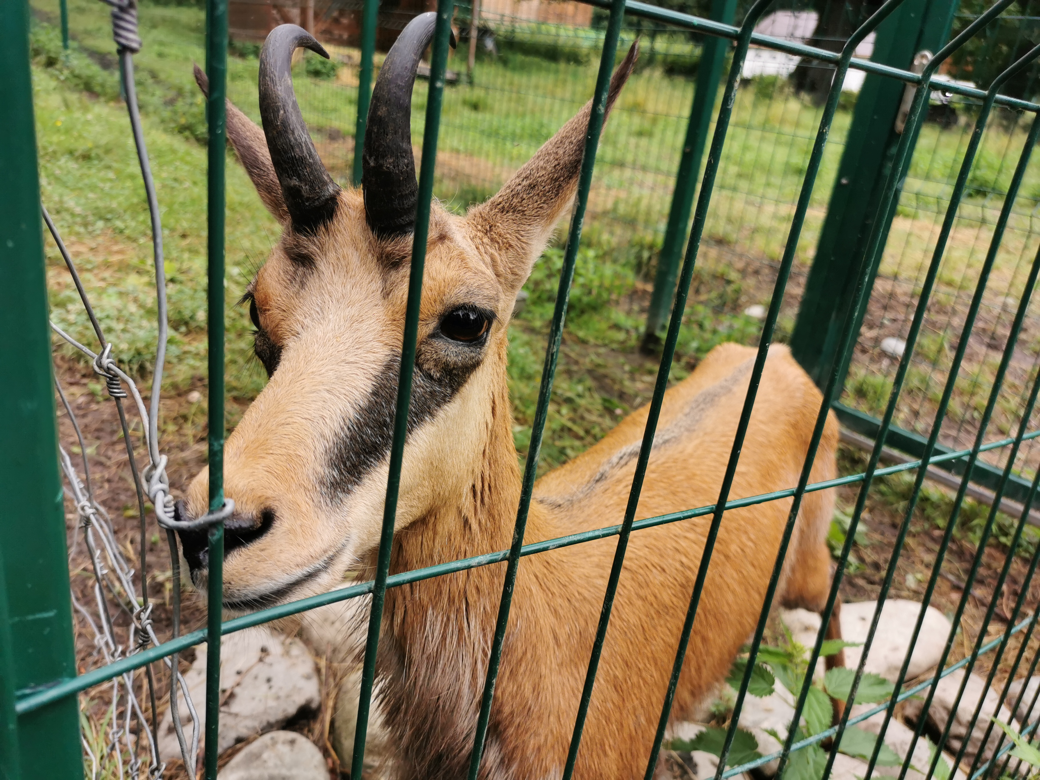 Территория детства. Весна 2026 (49/78)